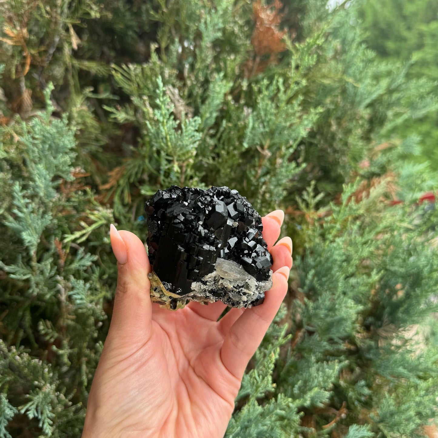 High Quality Black Tourmaline & Feldspar Specimen (Erongo, Namibia)