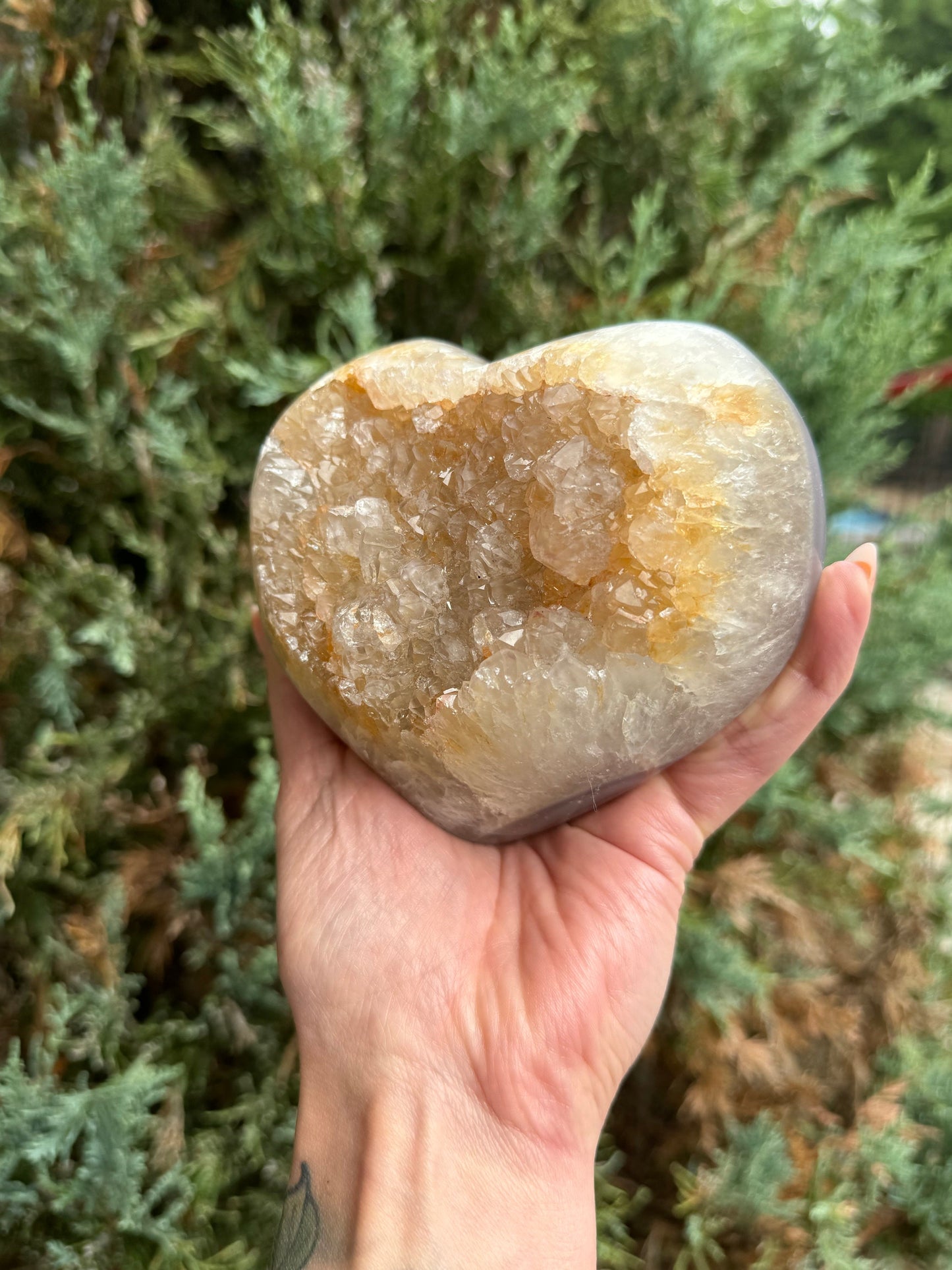 Golden Druzy Orca Agate Heart