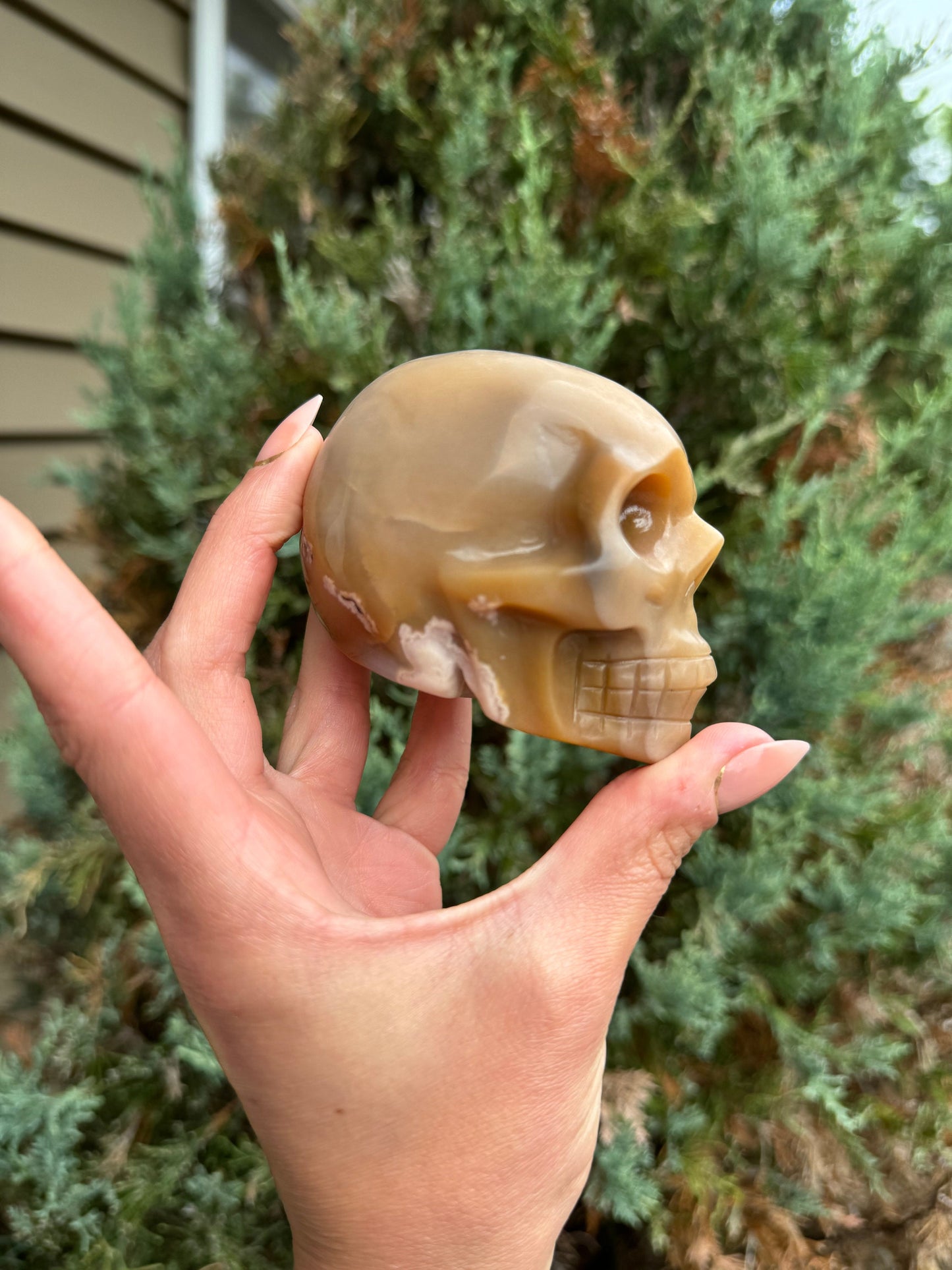 Flower Agate Skull Carving (3.25")