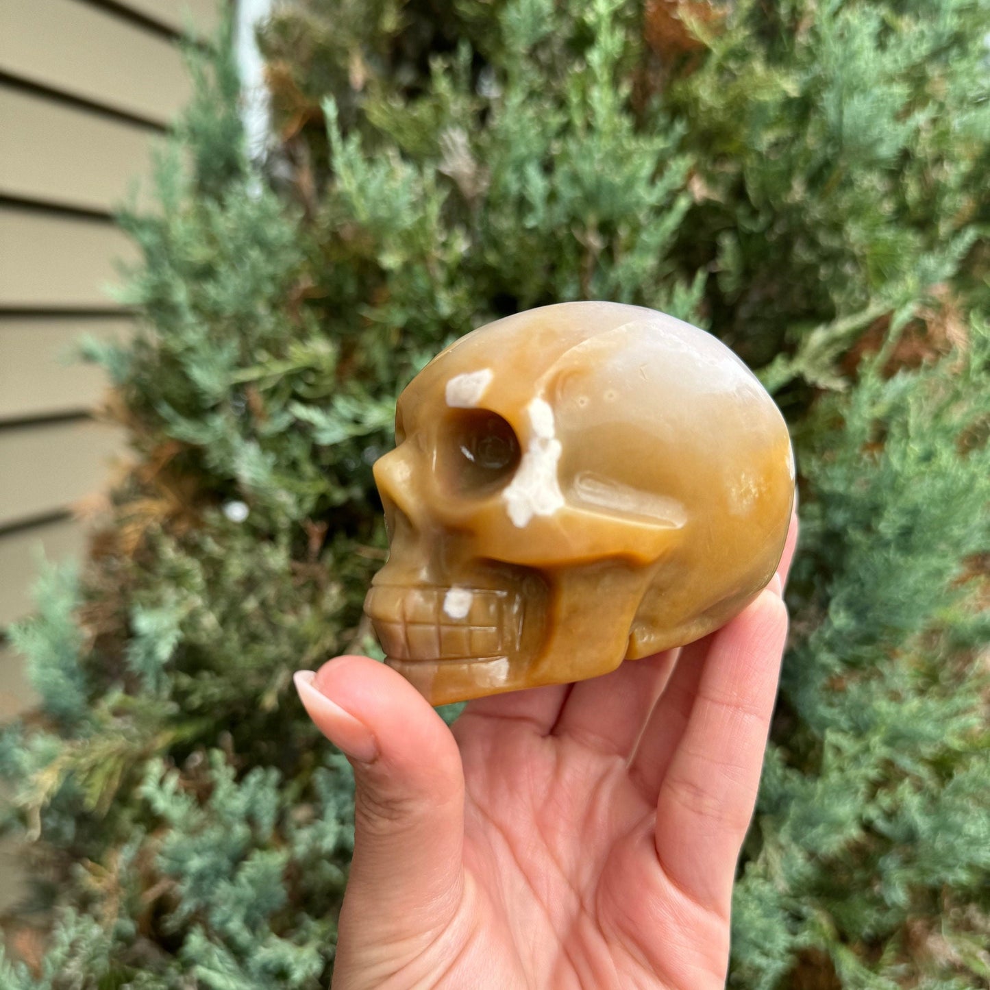 Flower Agate Skull Carving (3.25")