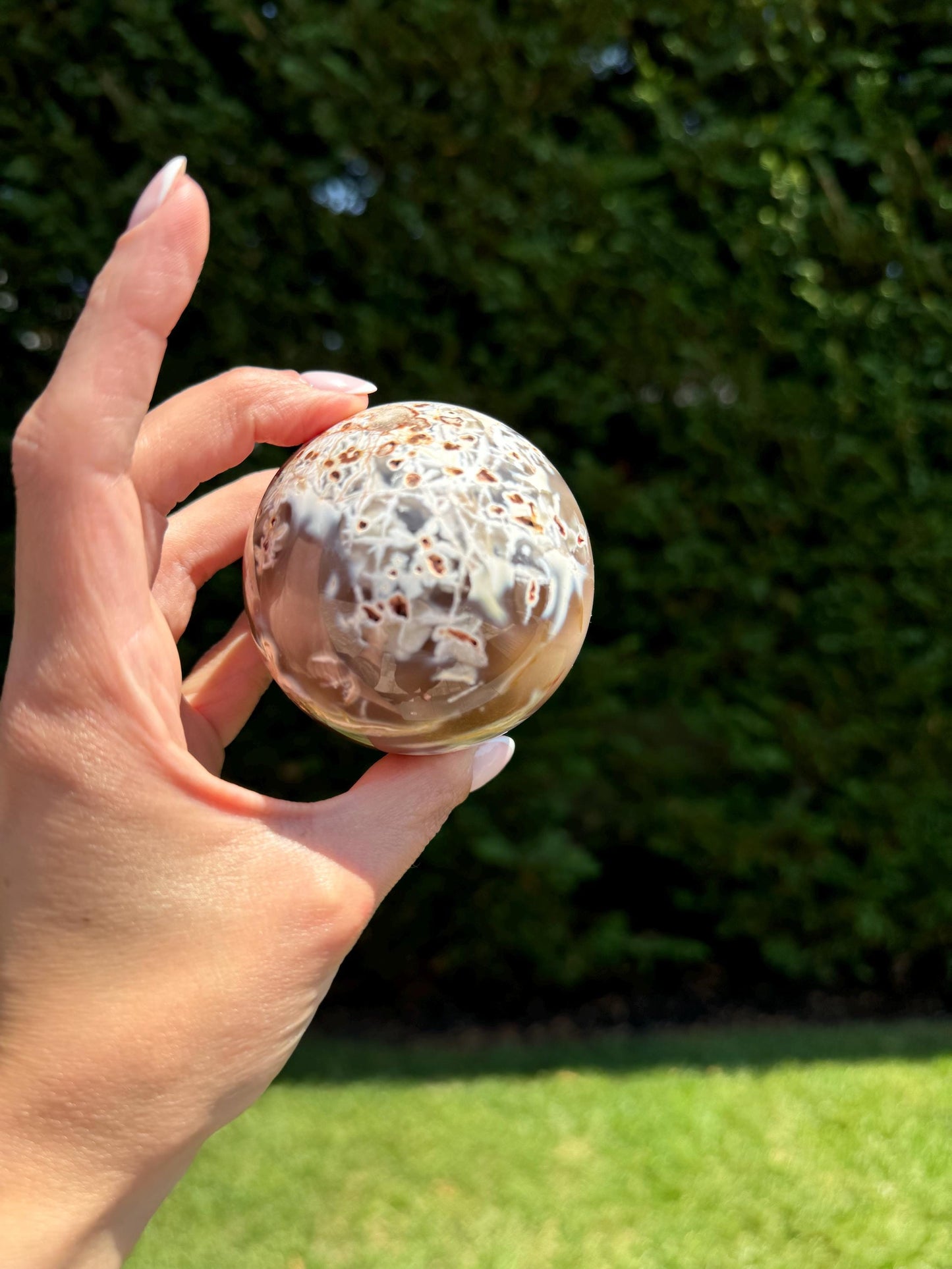 Druzy Orca Agate Sphere (66MM)