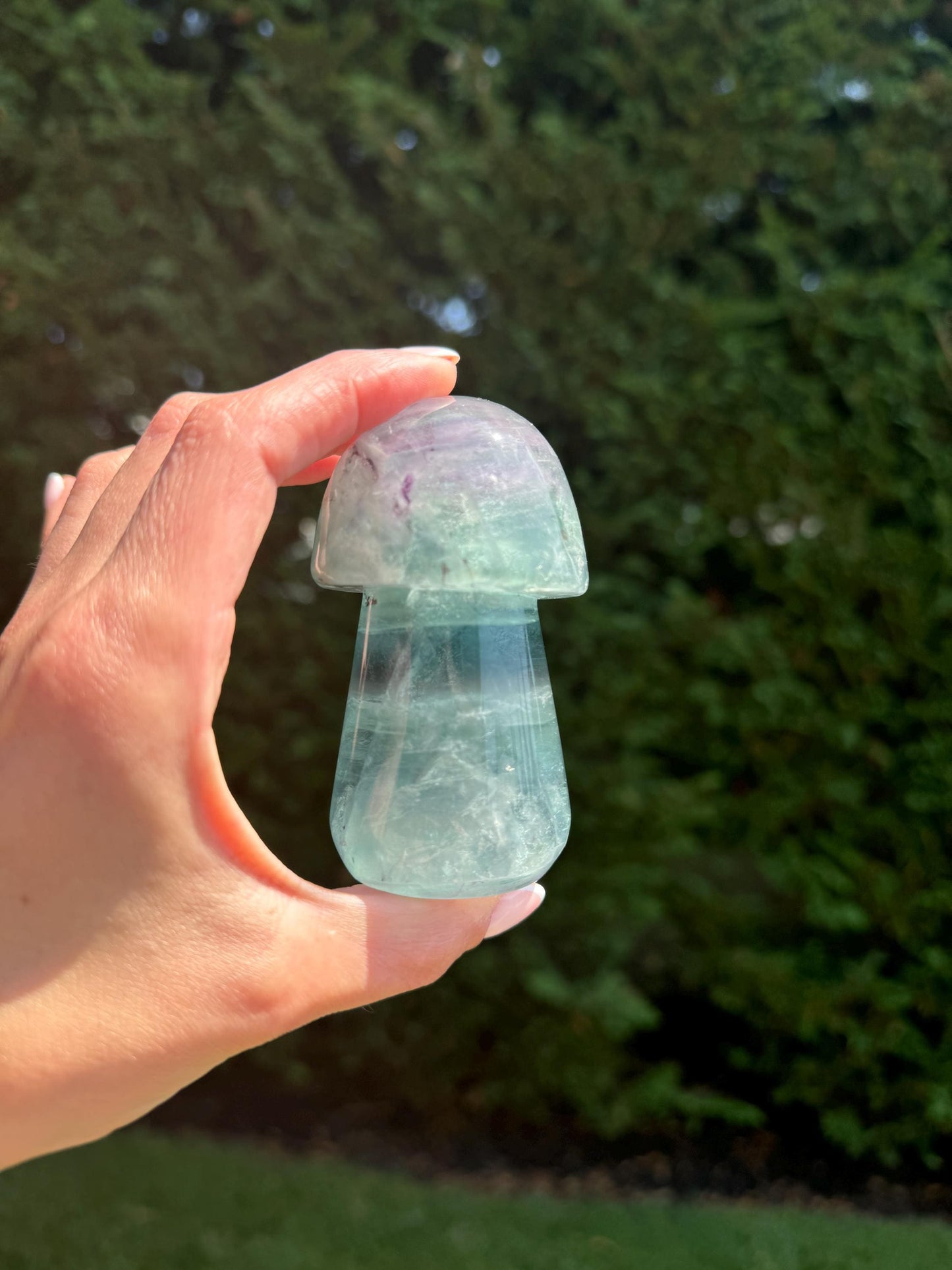 Banded Dendritic Rainbow Fluorite Mushroom Carving