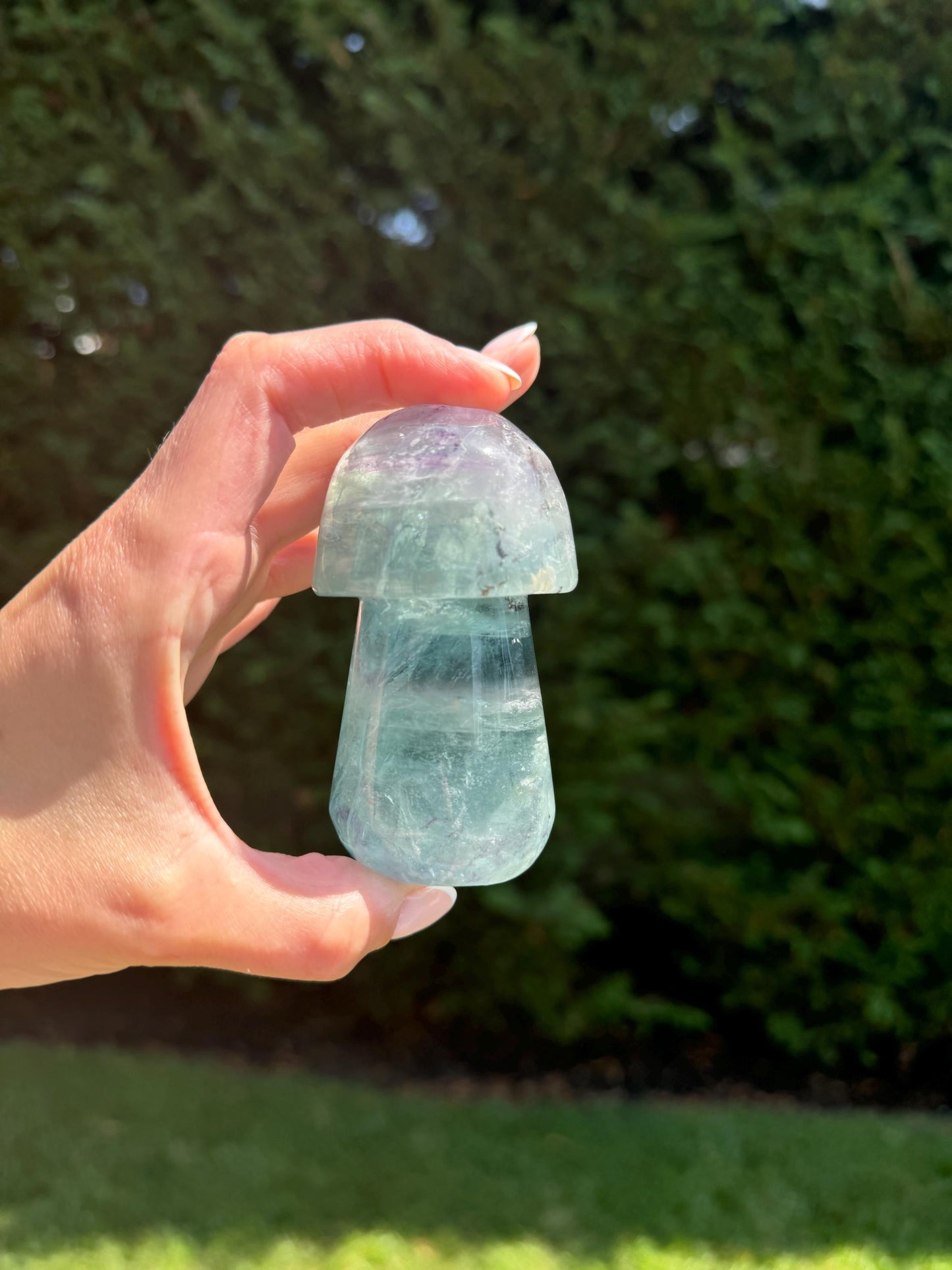 Banded Dendritic Rainbow Fluorite Mushroom Carving