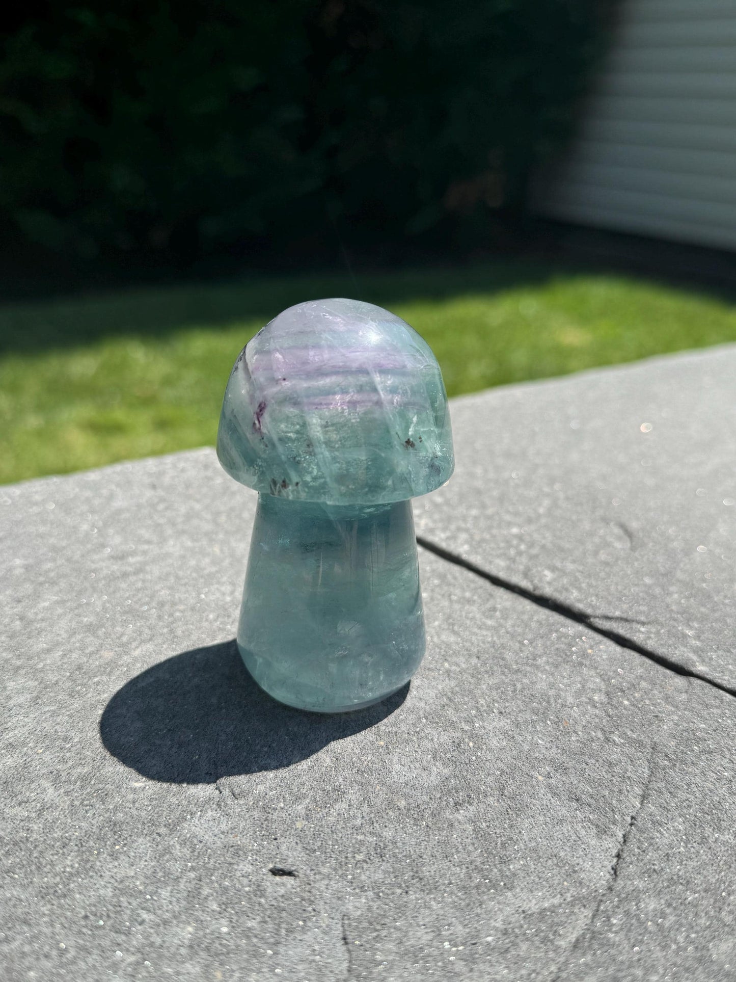 Banded Dendritic Rainbow Fluorite Mushroom Carving