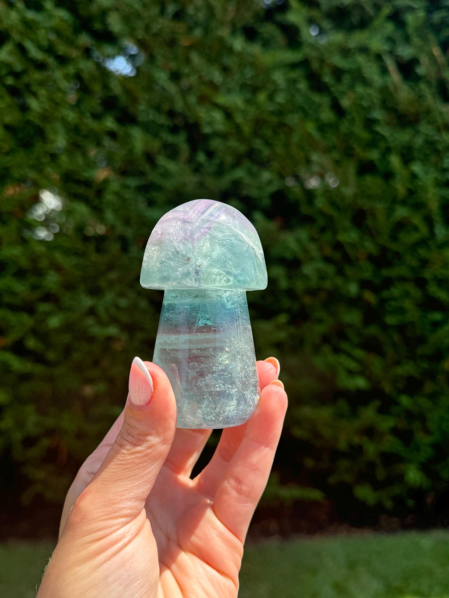Banded Dendritic Rainbow Fluorite Mushroom Carving