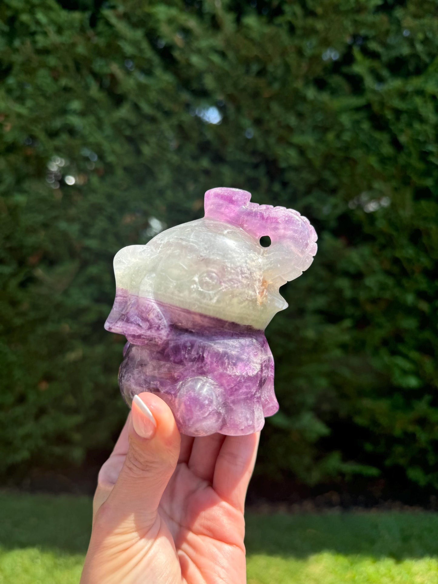 Rainbow Fluorite Sitting Elephant Carving