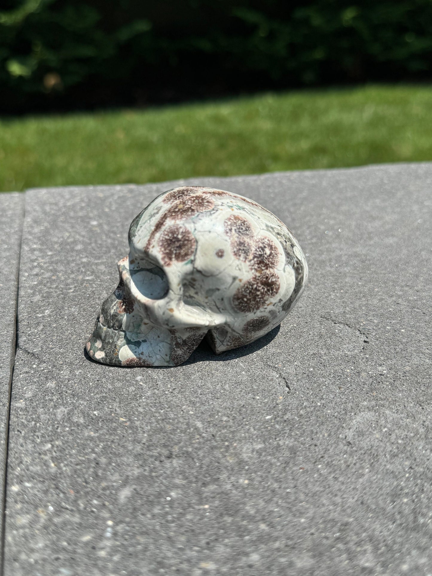 Green Sakura Jasper Skull Carving (2.68")