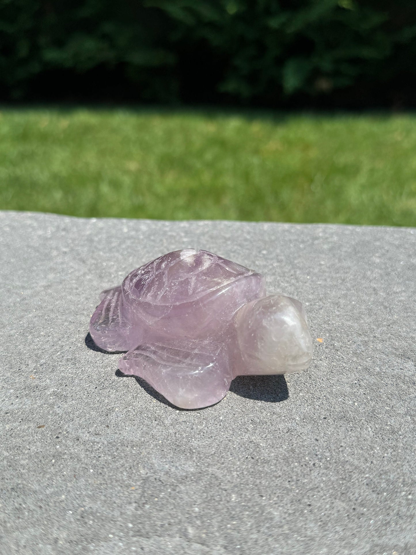 Purple Amethyst Turtle Carving