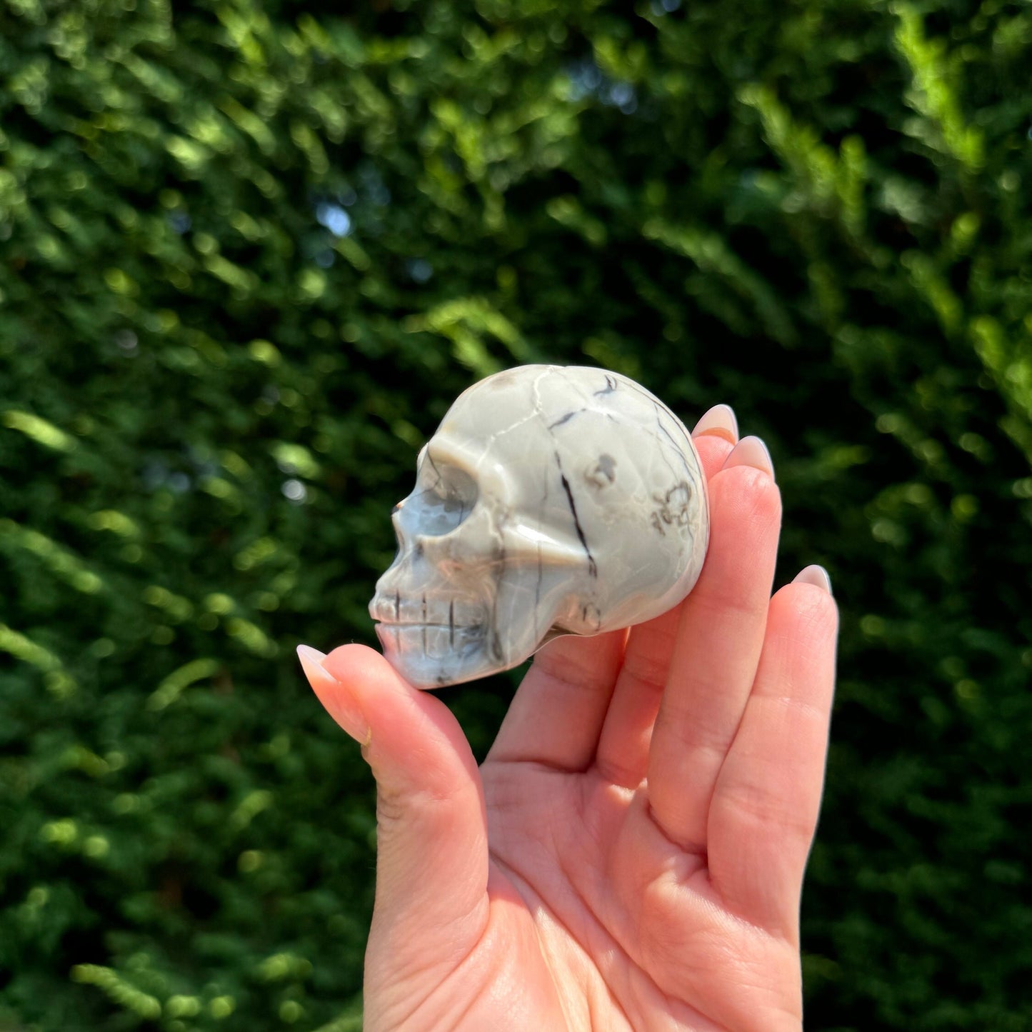 Chocolate Calcite Skull Carving
