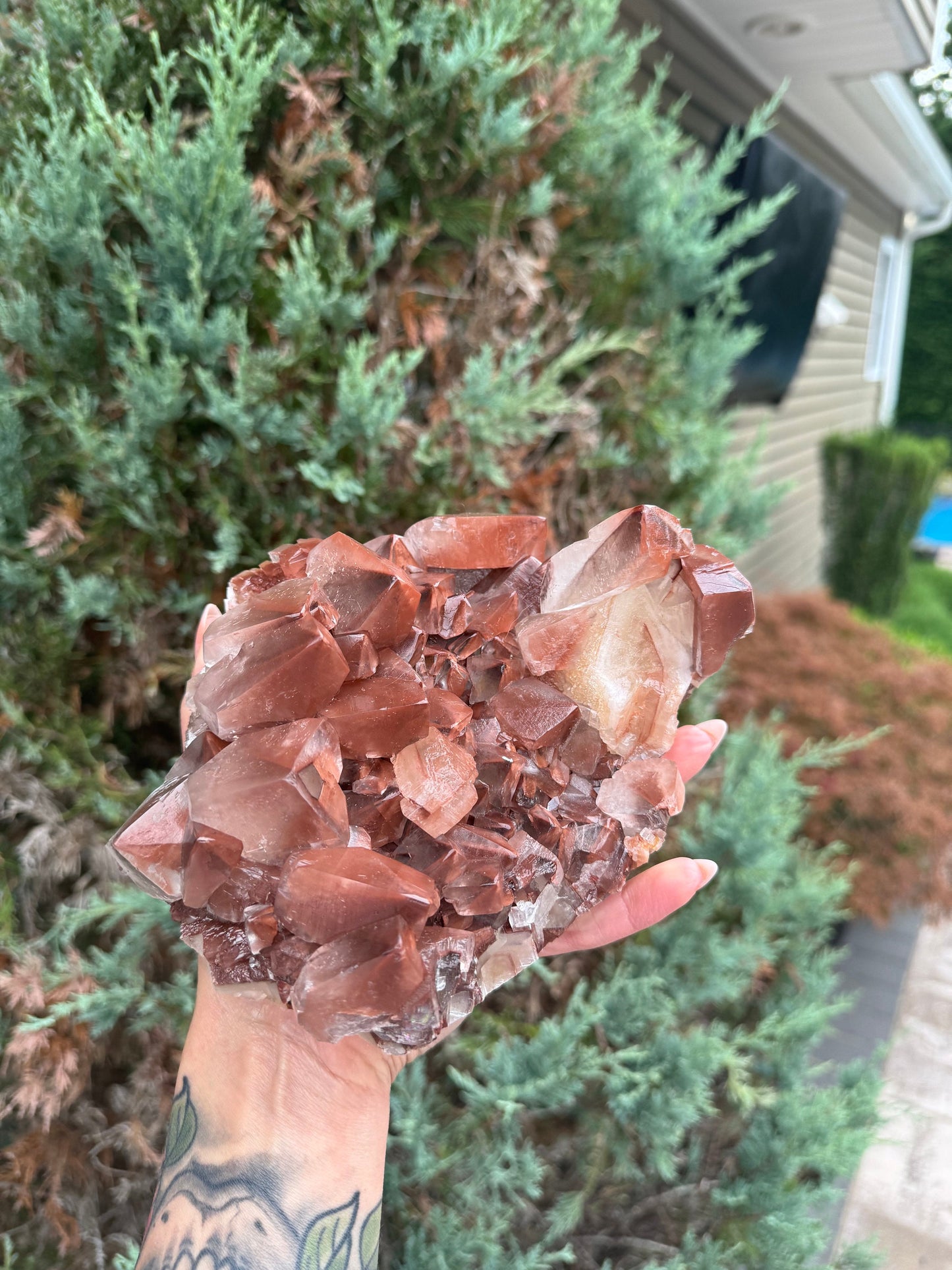 XL "Chocolate" Dogtooth Calcite Specimen