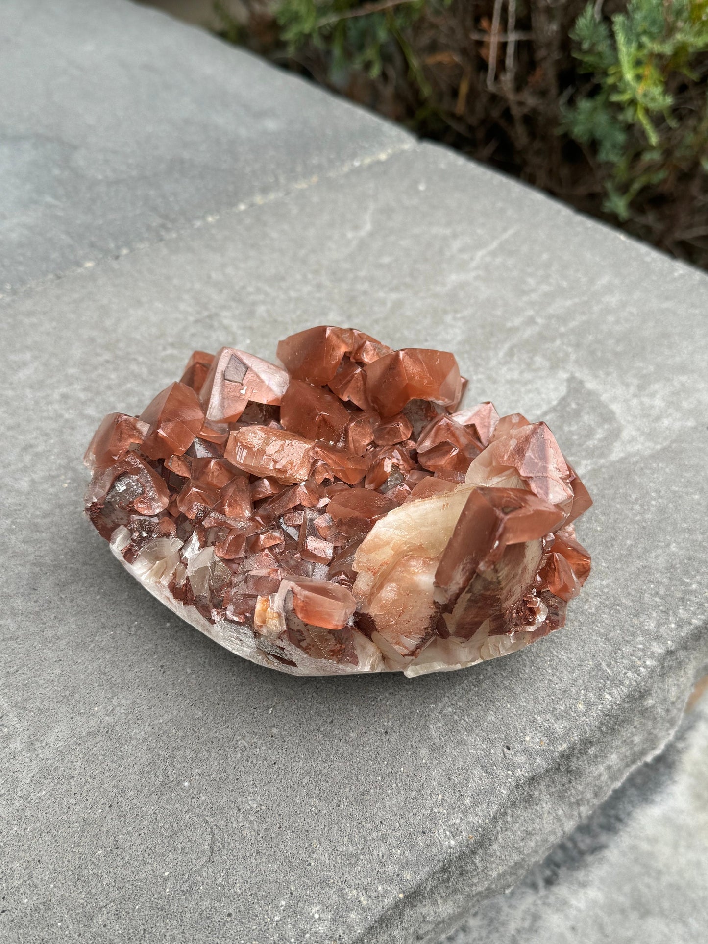 XL "Chocolate" Dogtooth Calcite Specimen