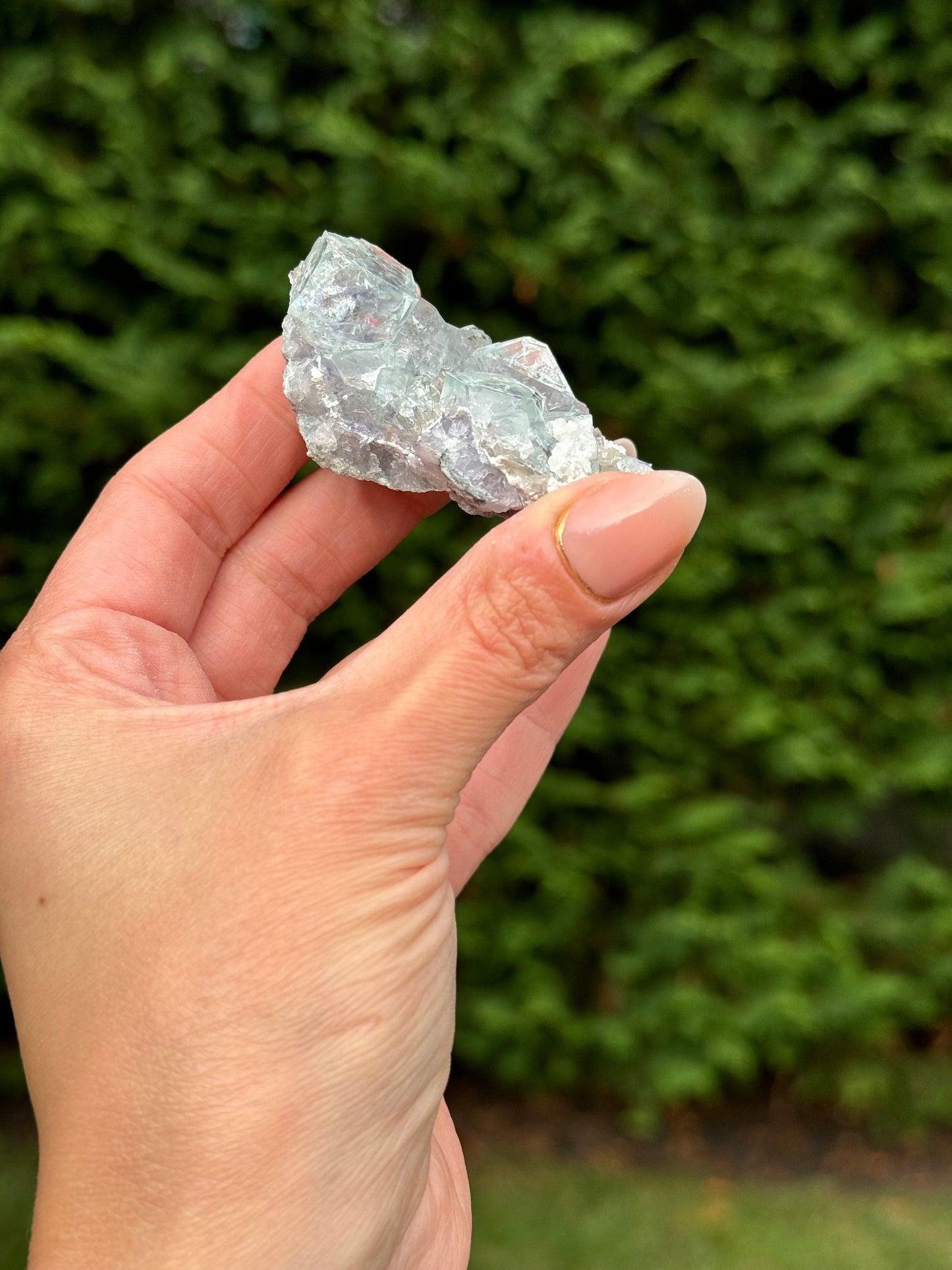 Blue & Purple Fluorite Cubic Specimen (Zhejiang, Hangzhou, China)
