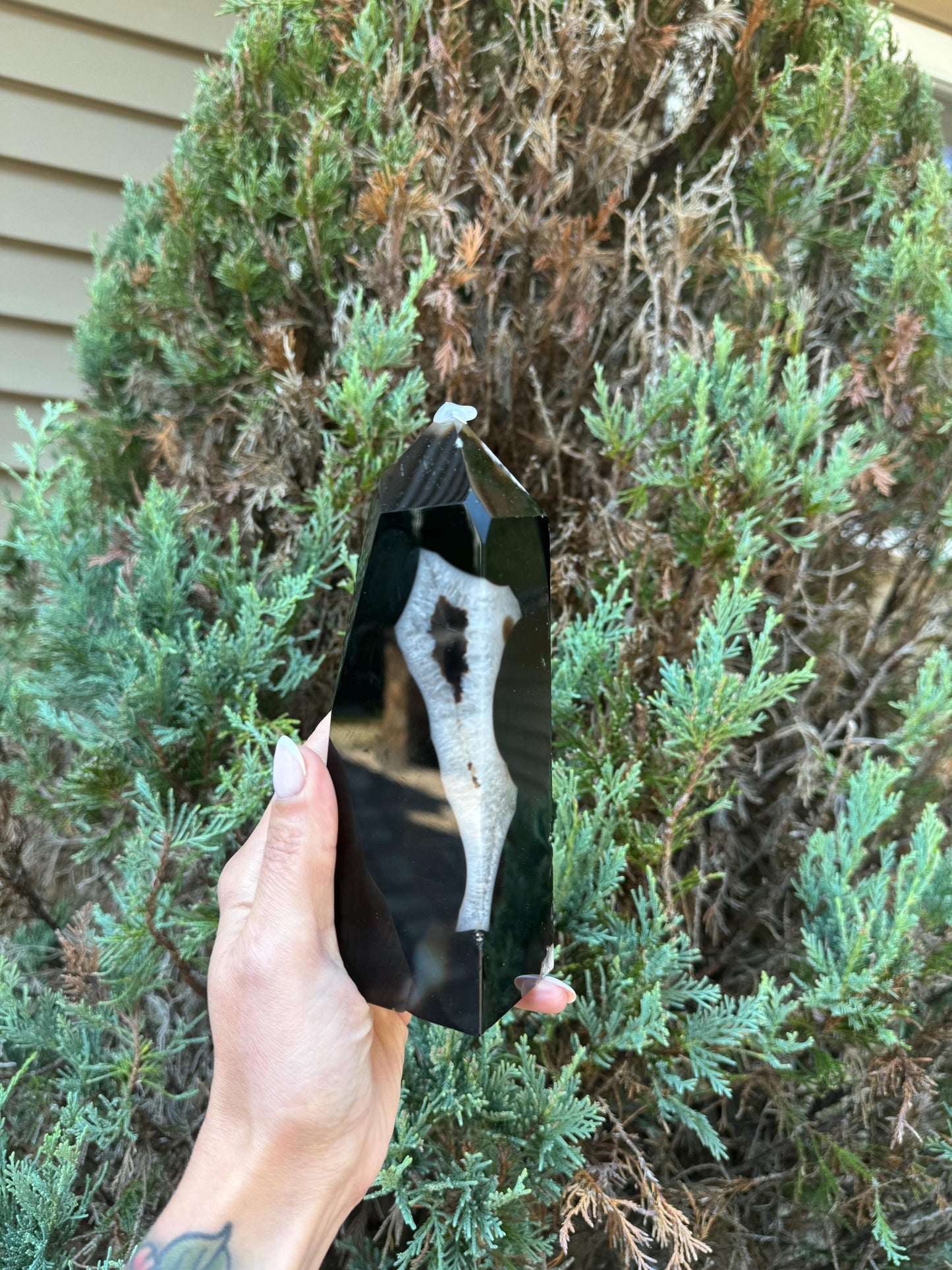 Black Flower Agate & Quartz Obelisk (6.5")