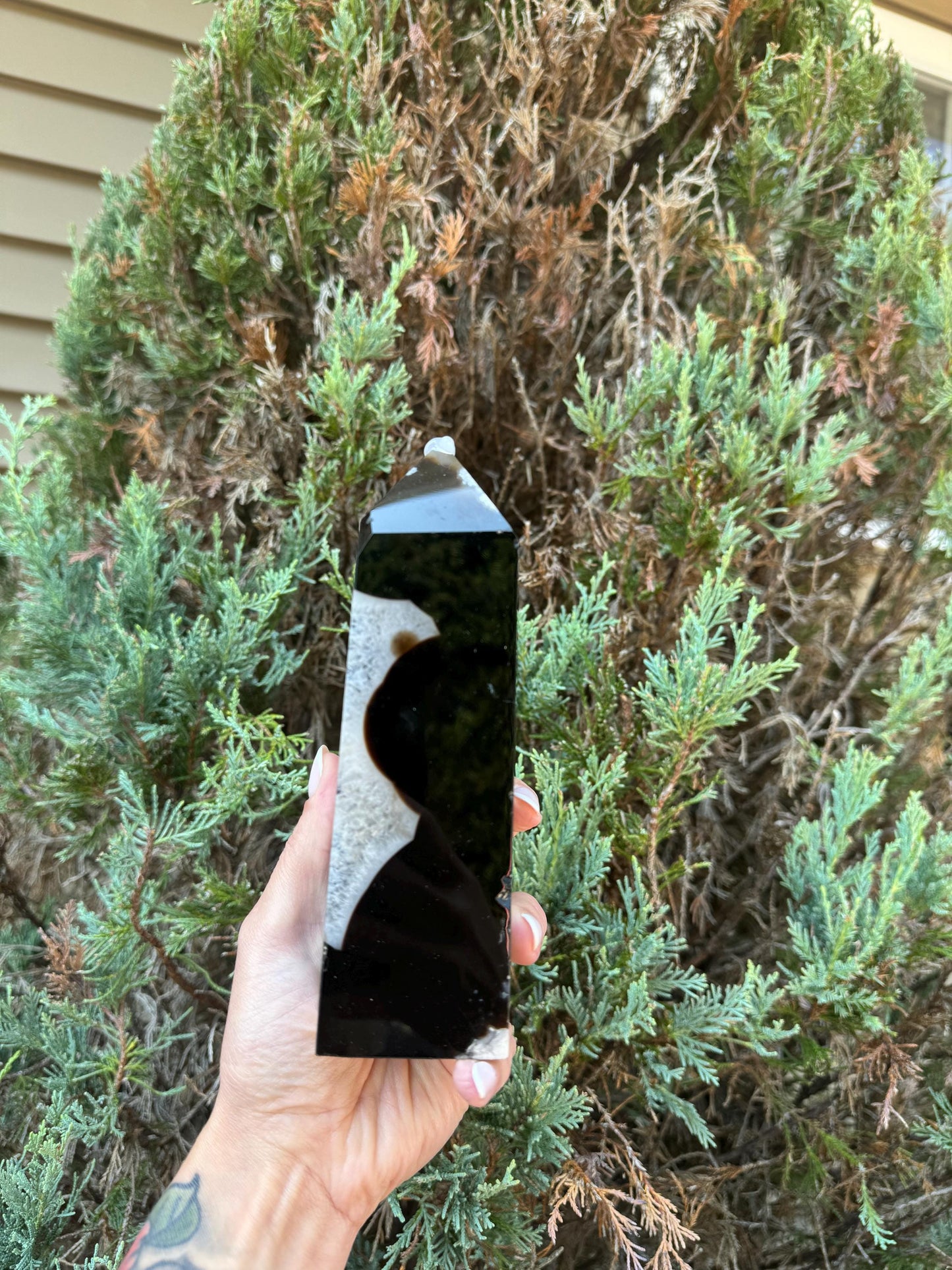 Black Flower Agate & Quartz Obelisk (6.5")