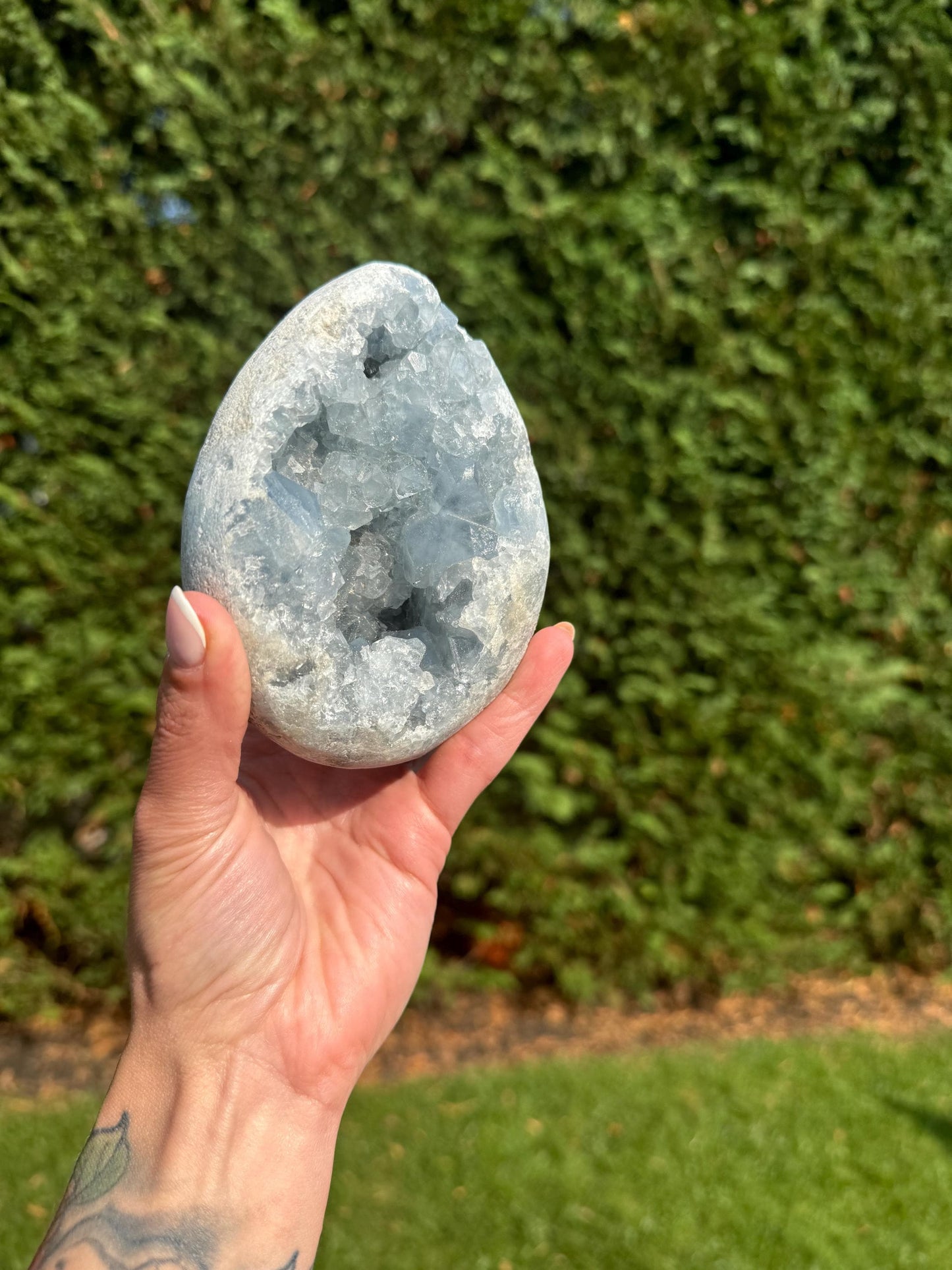 Blue Celestite Egg Carving (2.5lbs)