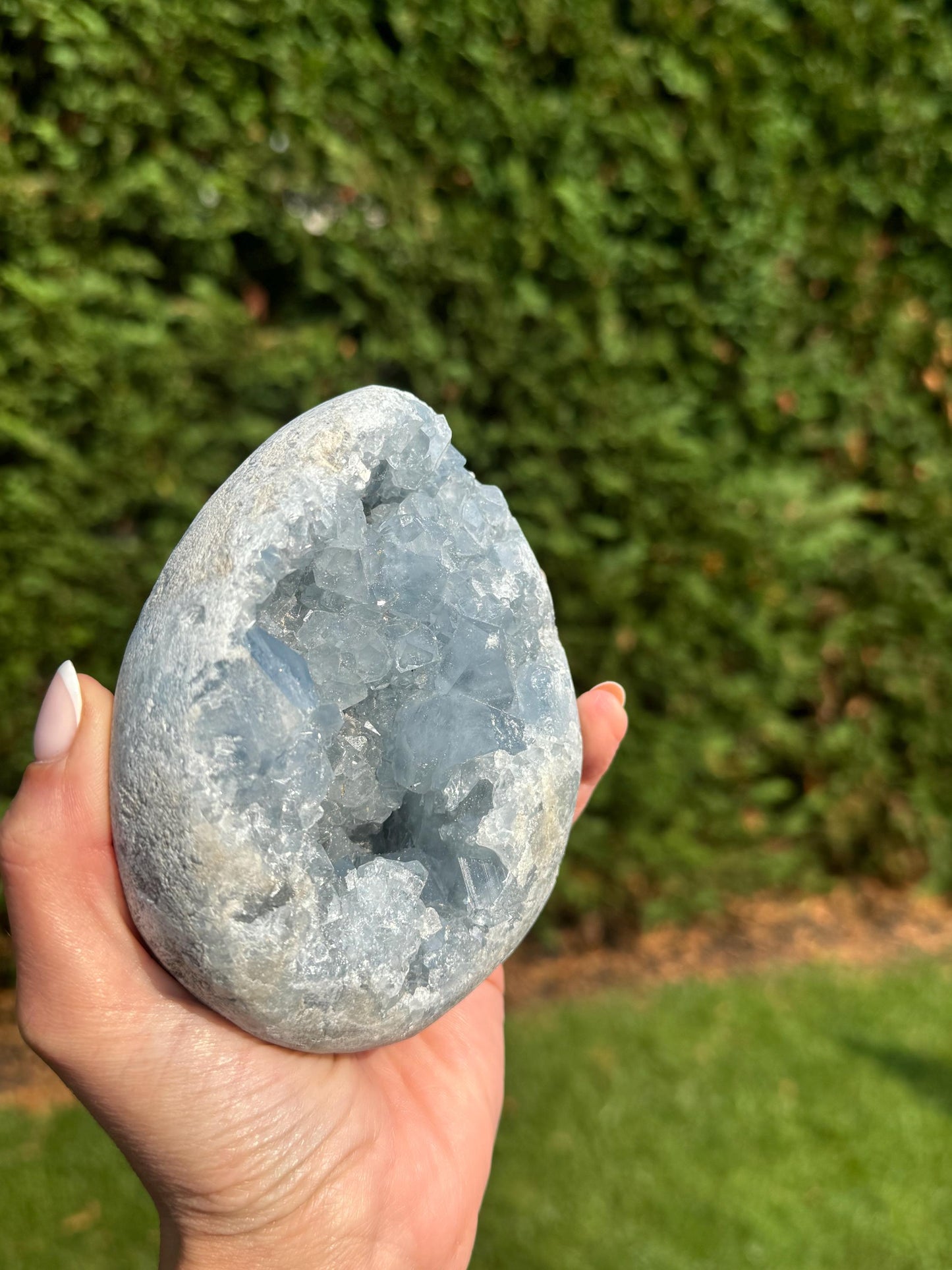 Blue Celestite Egg Carving (2.5lbs)