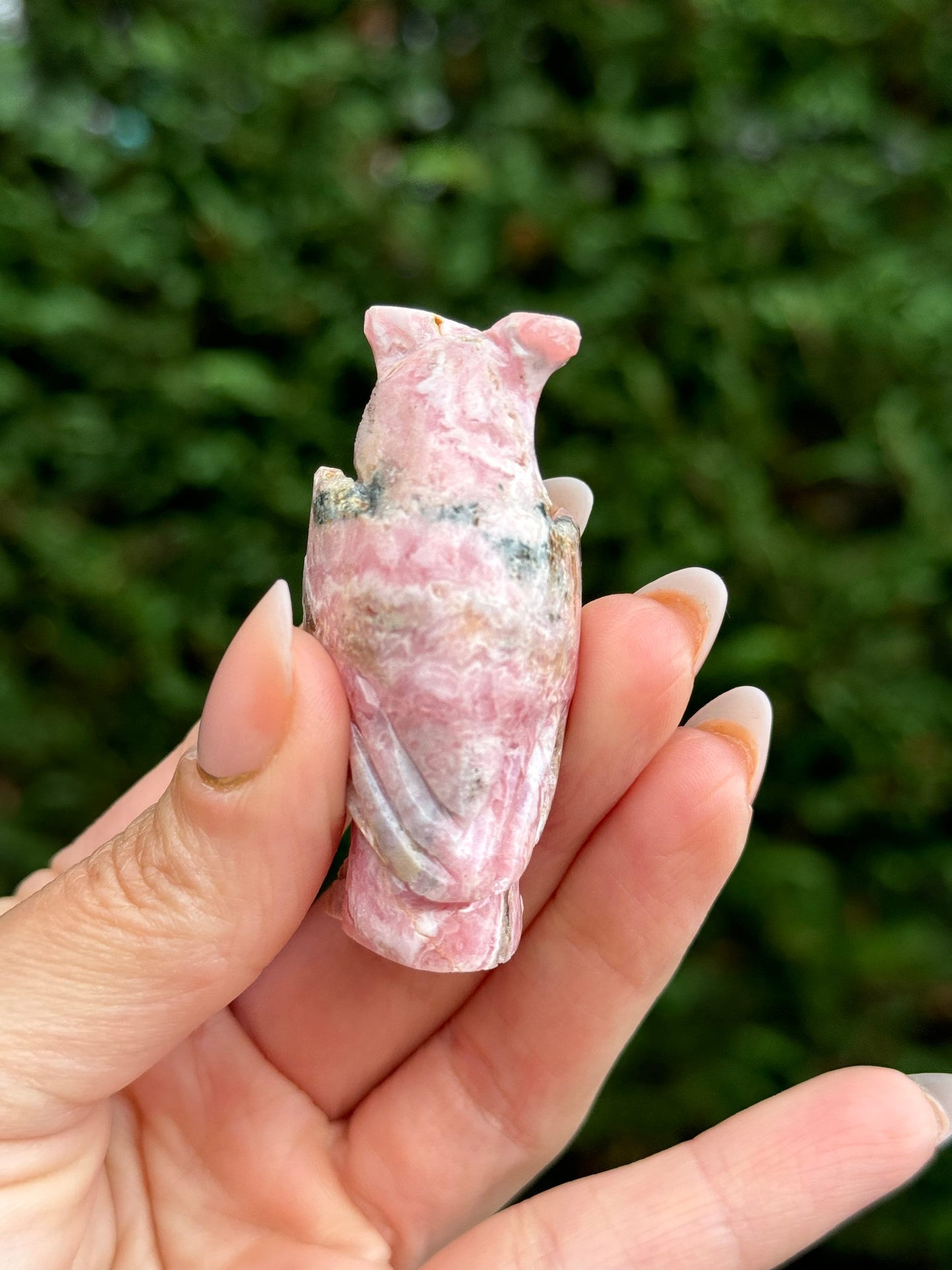 Rhodochrosite Owl Carving w/ Sodalite Beak