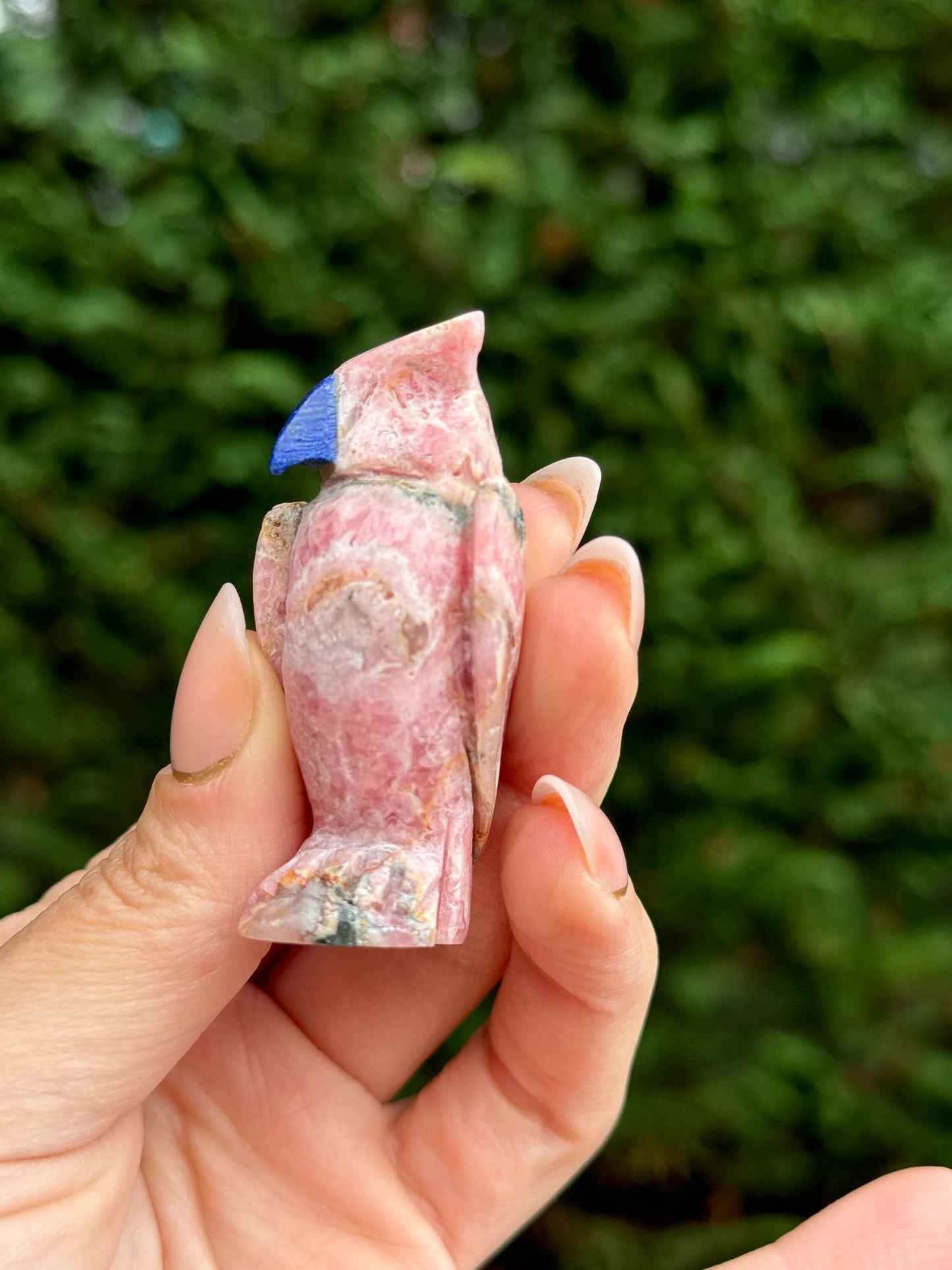 Rhodochrosite Owl Carving w/ Sodalite Beak