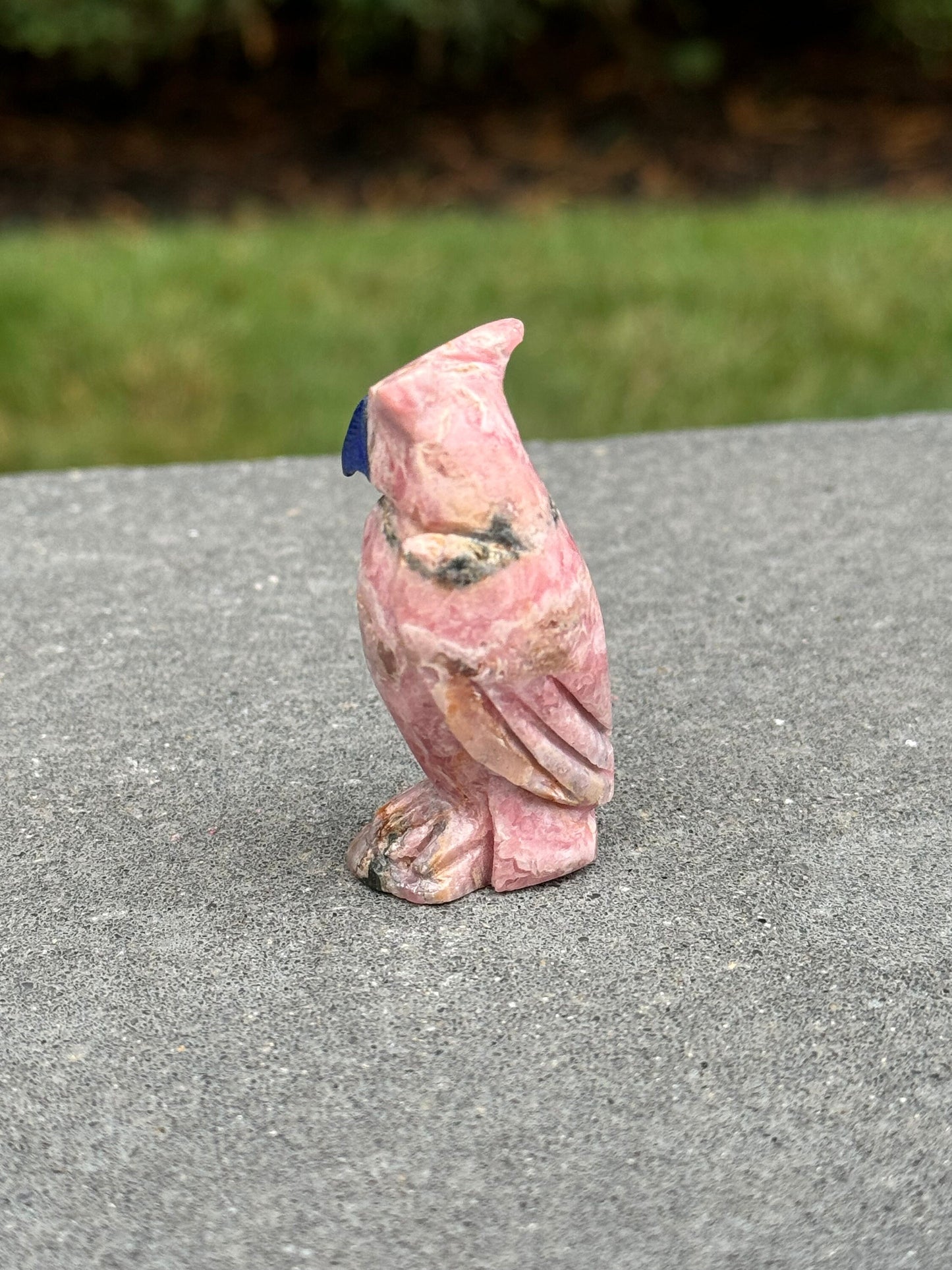 Rhodochrosite Owl Carving w/ Sodalite Beak