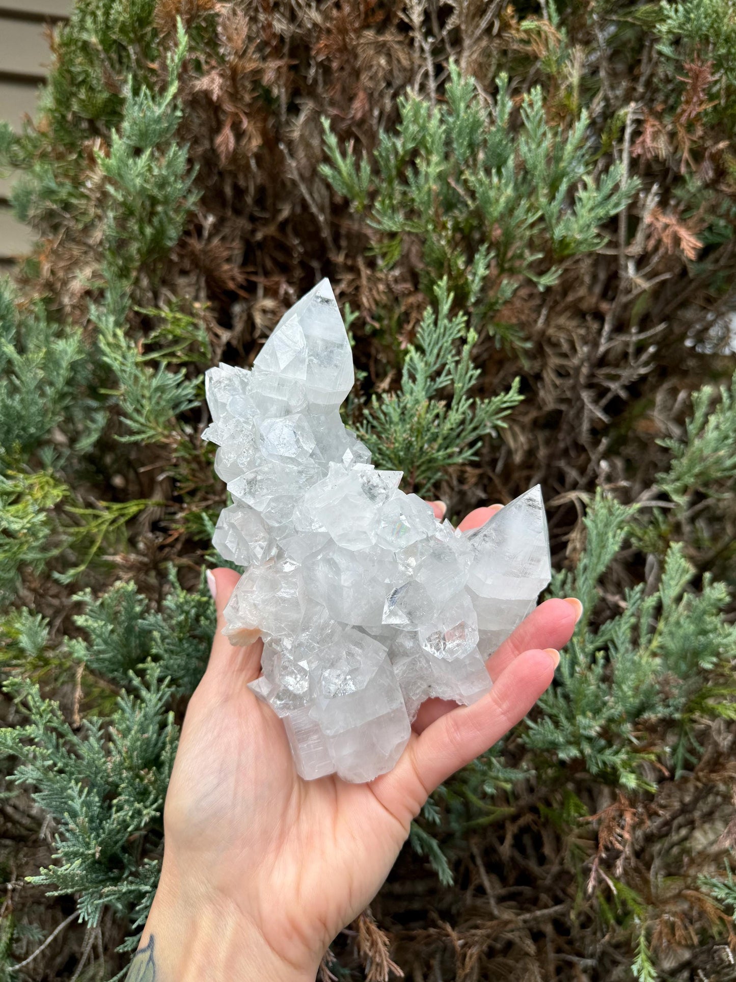 XL Indian Diamond Apophyllite & Pink Stilbite Specimen (1.87lbs)