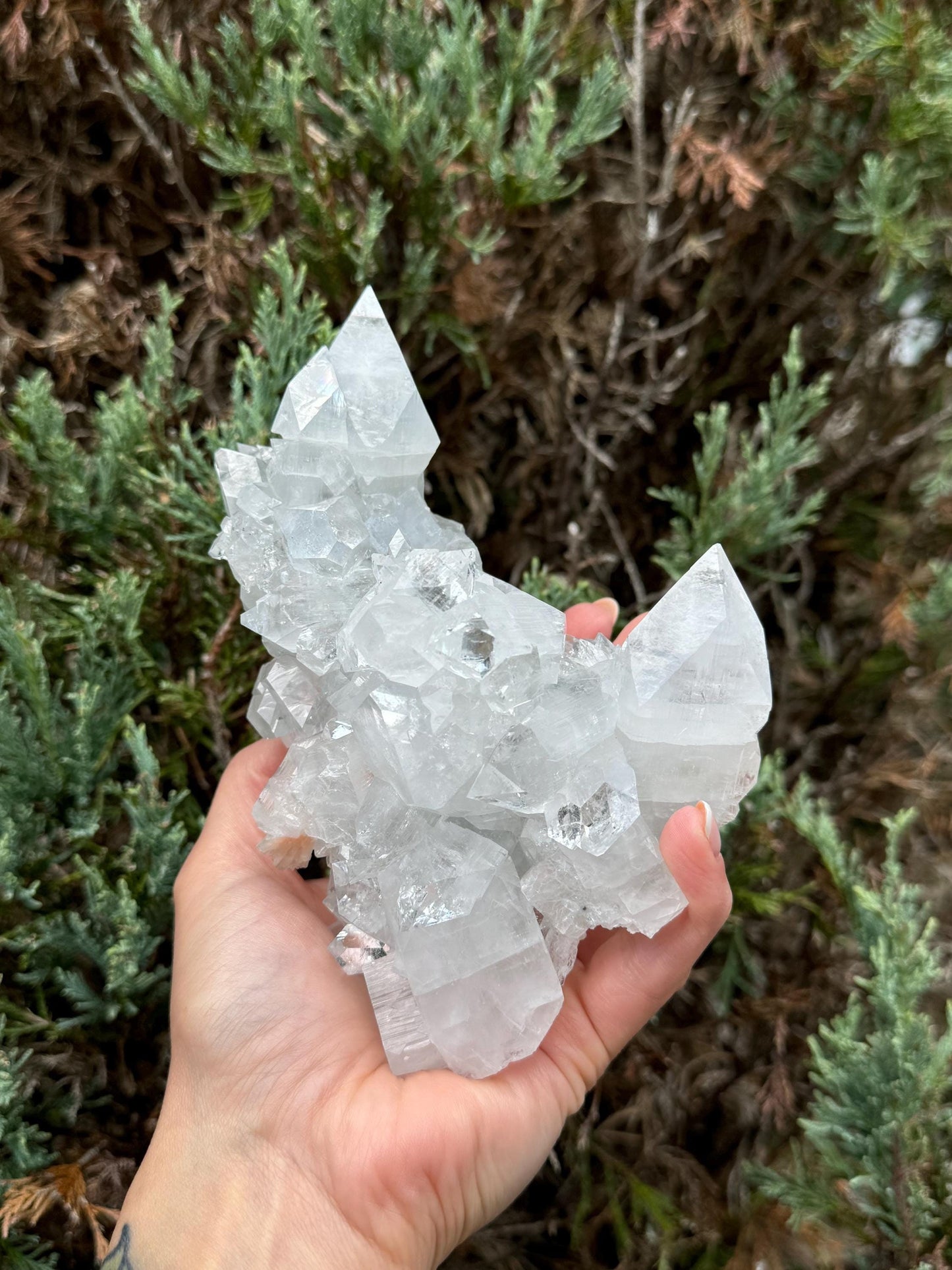 XL Indian Diamond Apophyllite & Pink Stilbite Specimen (1.87lbs)