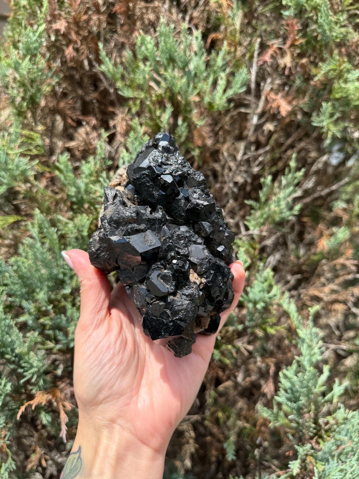 XL Raw High-Quality Black Tourmaline & Quartz Specimen (2.21lbs)