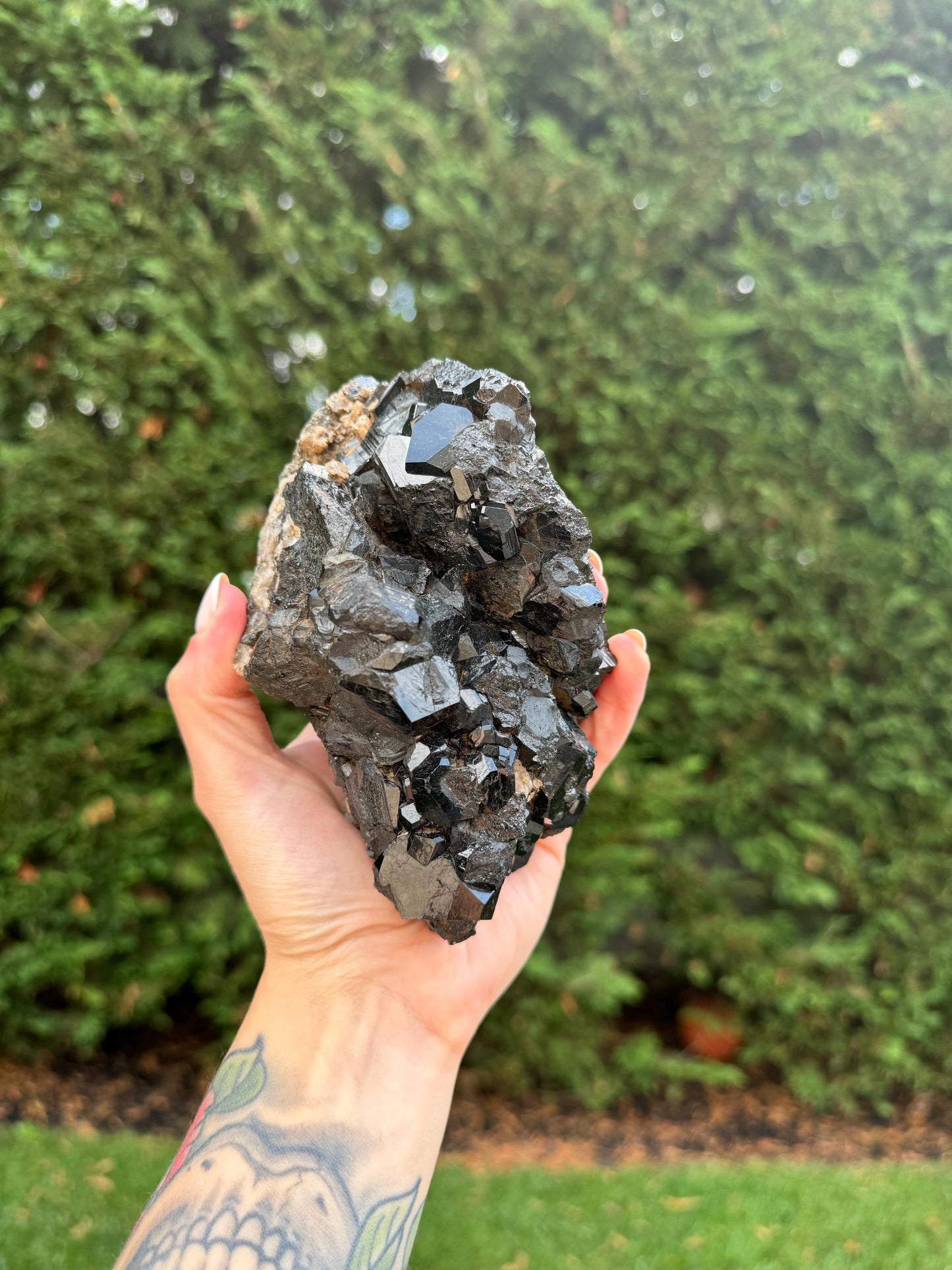 XL Raw High-Quality Black Tourmaline & Quartz Specimen (2.21lbs)