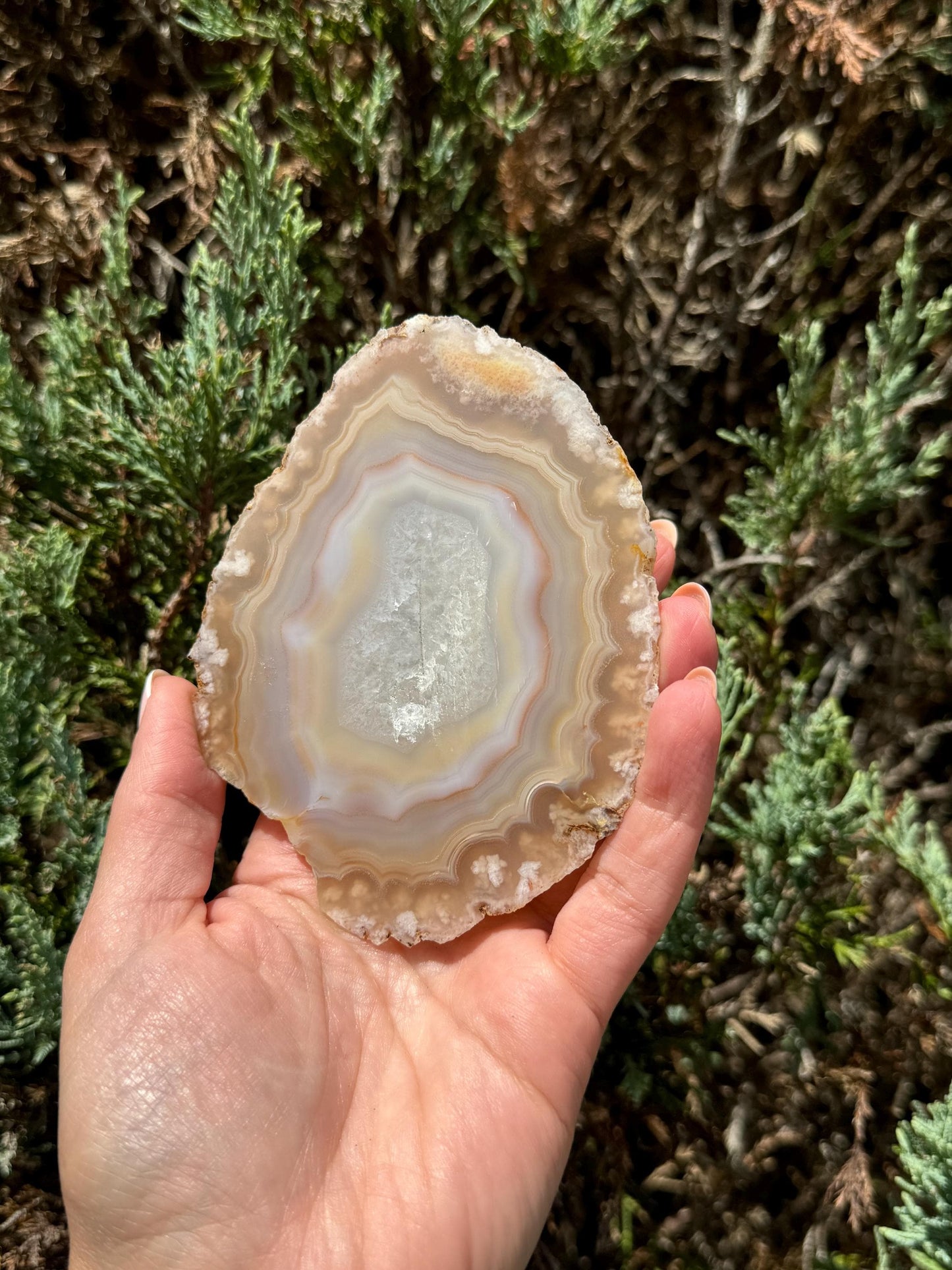 Flower Agate Slab