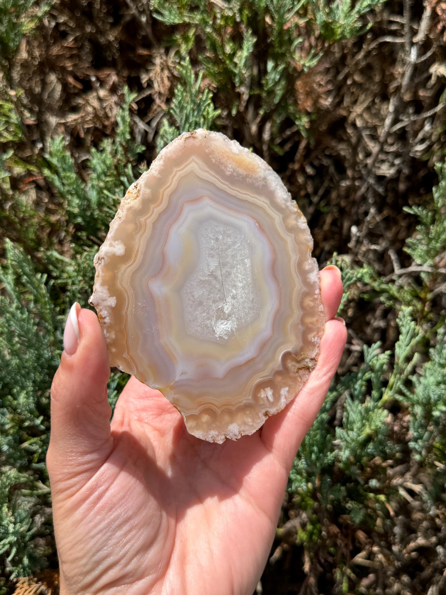 Flower Agate Slab
