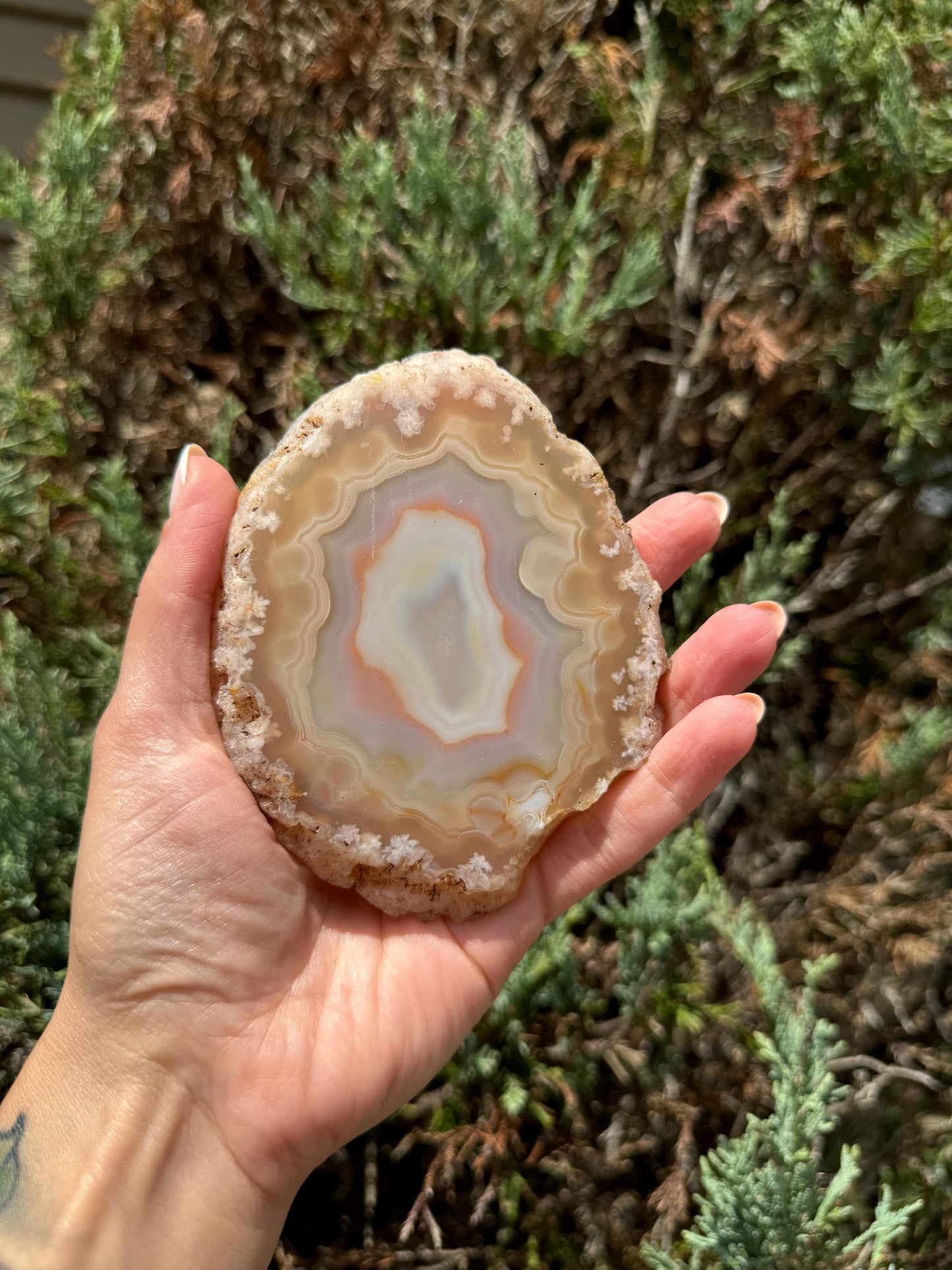 Flower Agate Slab