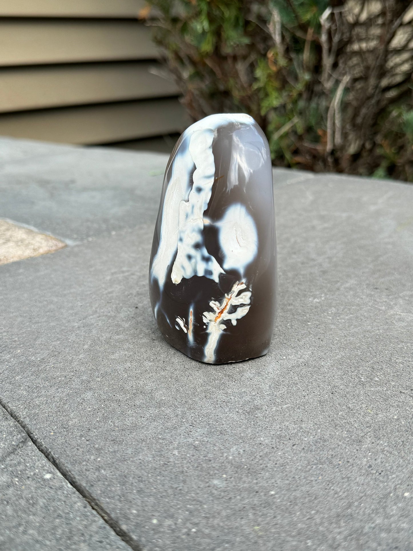 Druzy Orca Agate Freeform