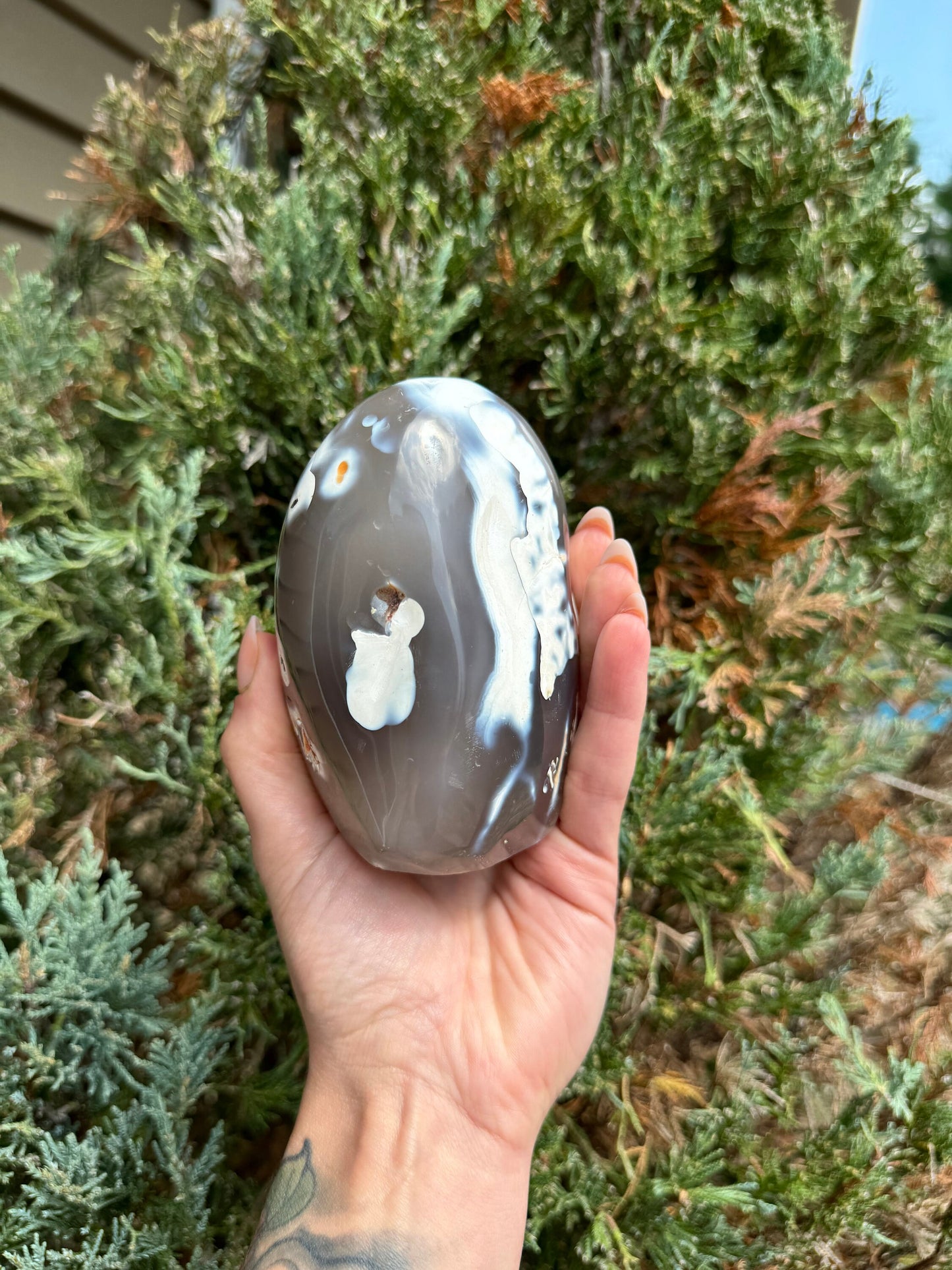 Druzy Orca Agate Freeform