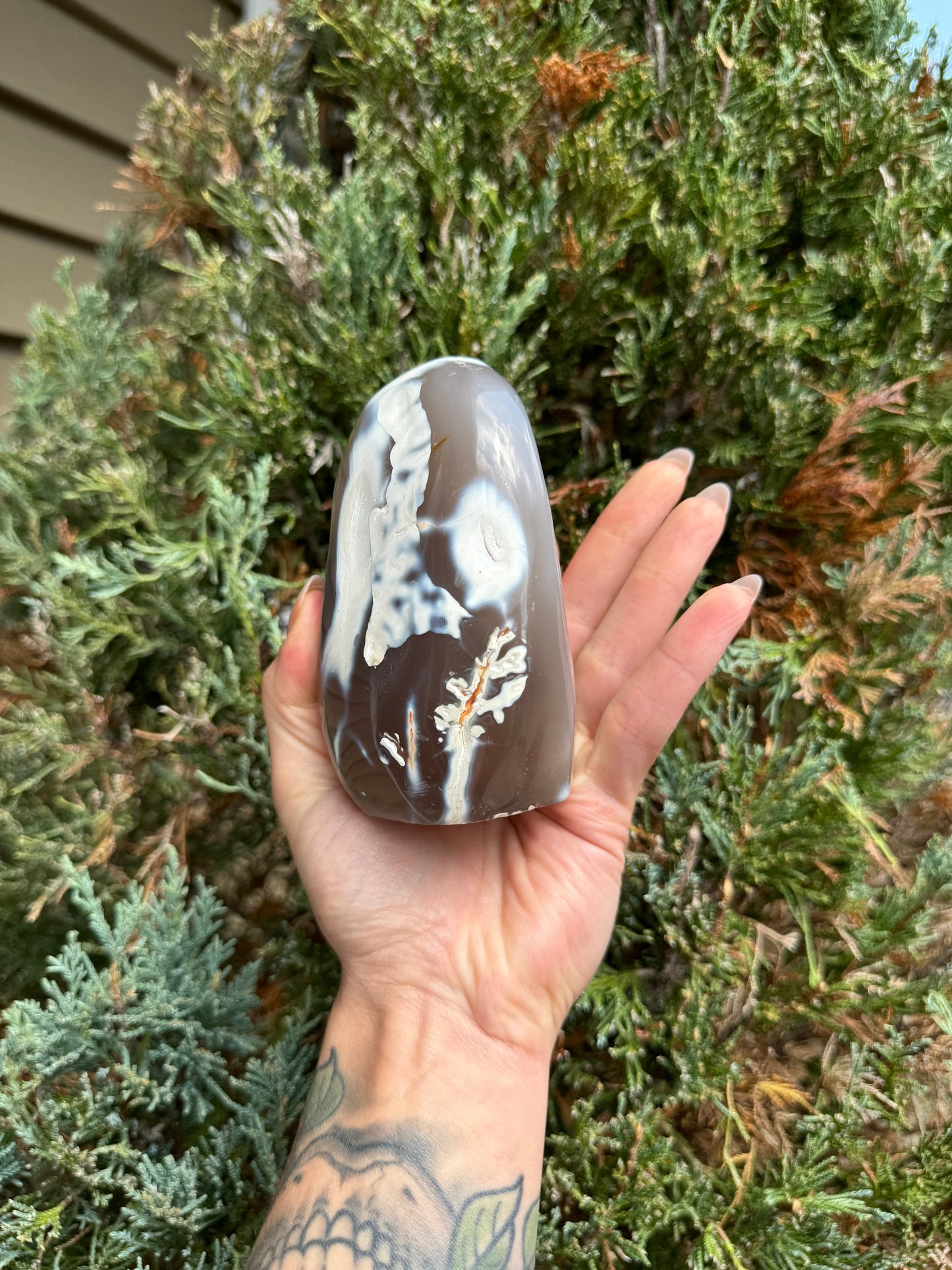 Druzy Orca Agate Freeform