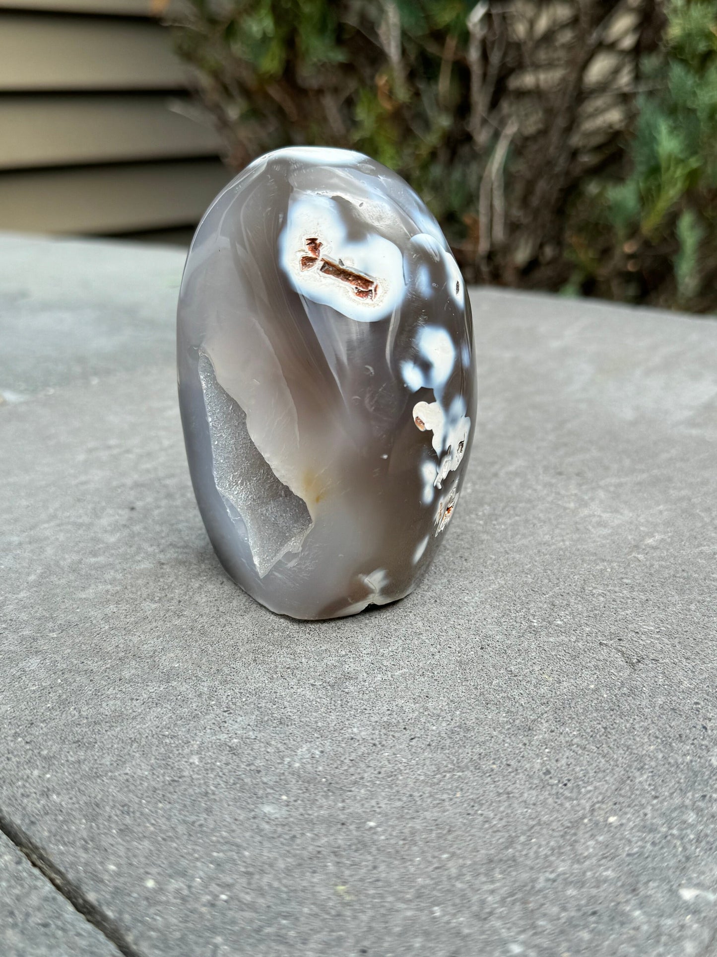 Druzy Orca Agate Freeform