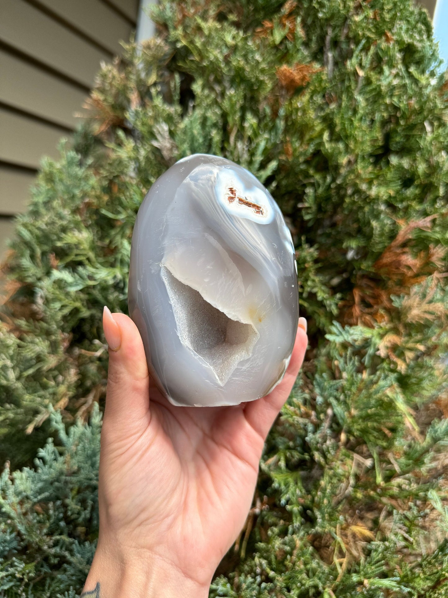 Druzy Orca Agate Freeform