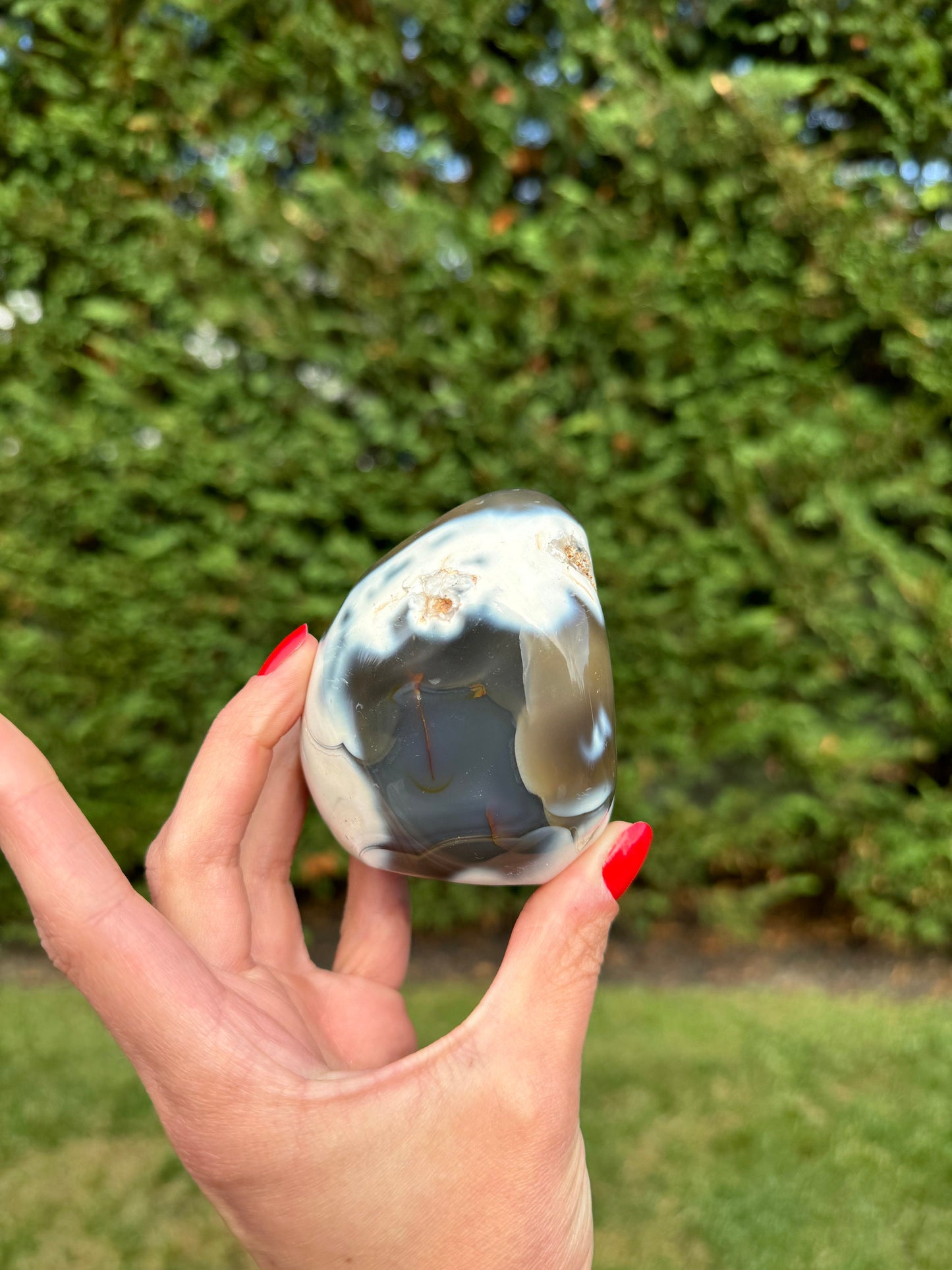 Druzy Orca Agate Freeform