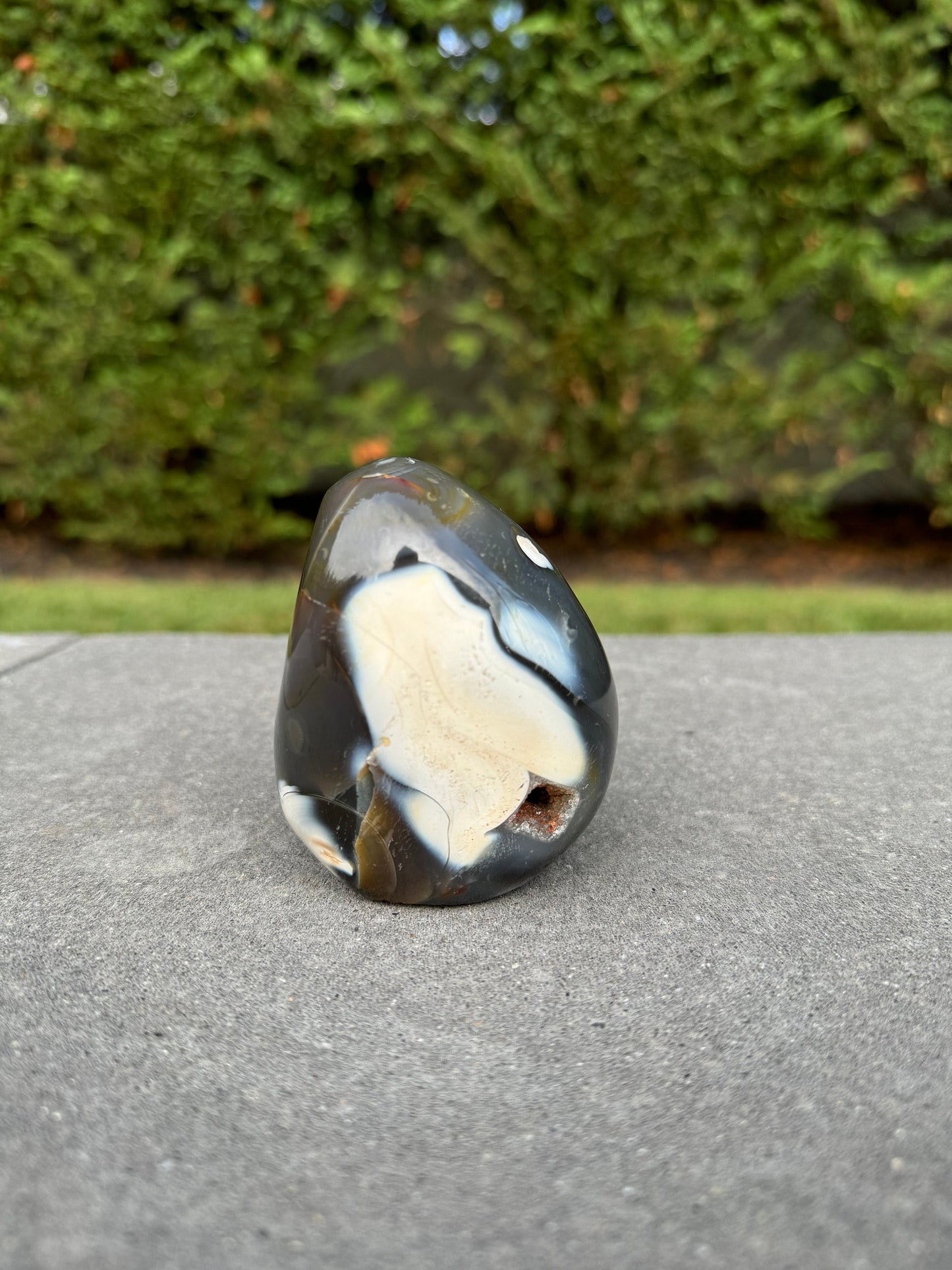 Druzy Orca Agate Freeform