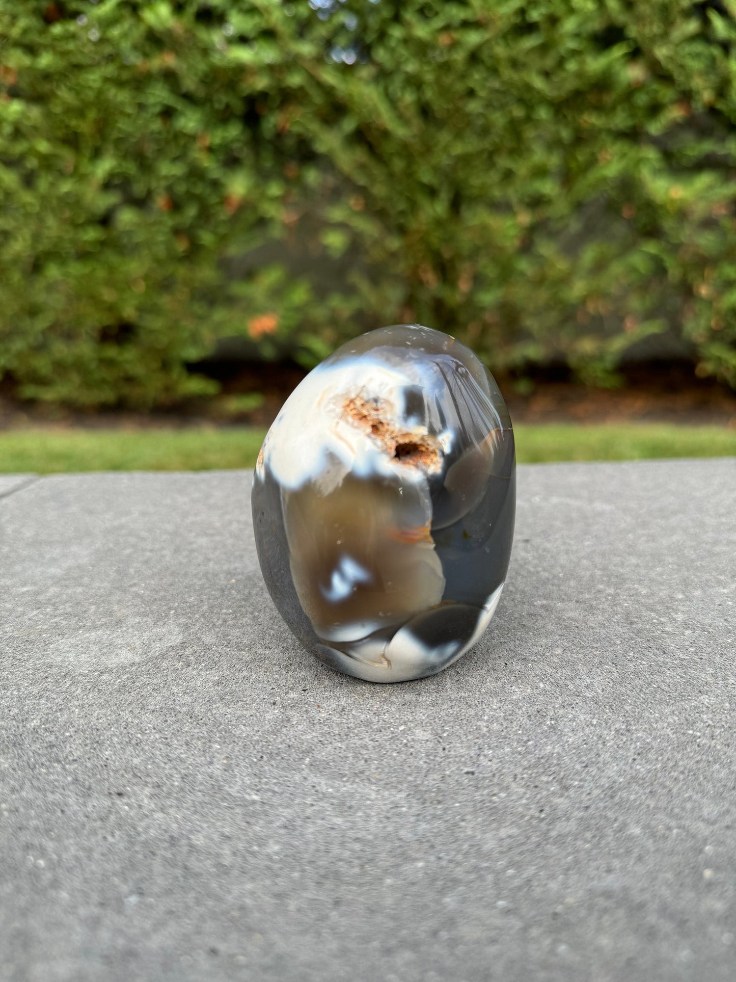 Druzy Orca Agate Freeform
