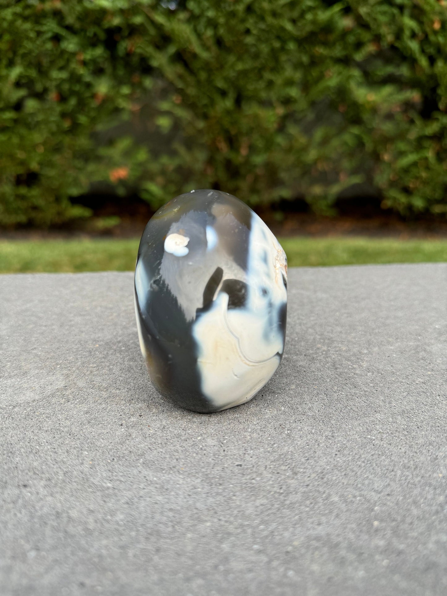 Druzy Orca Agate Freeform