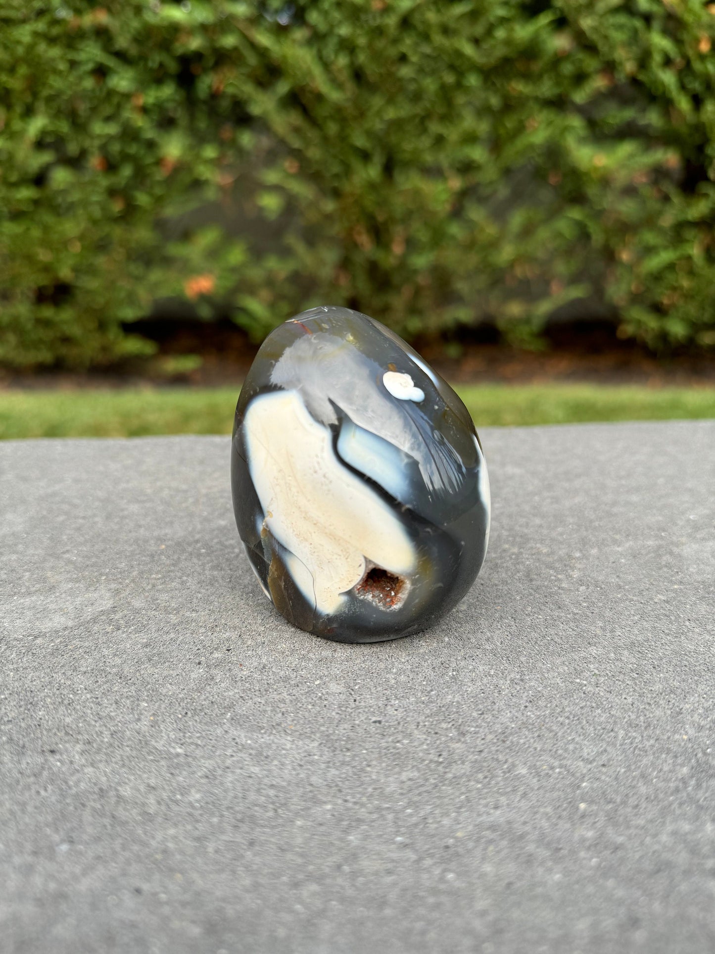 Druzy Orca Agate Freeform