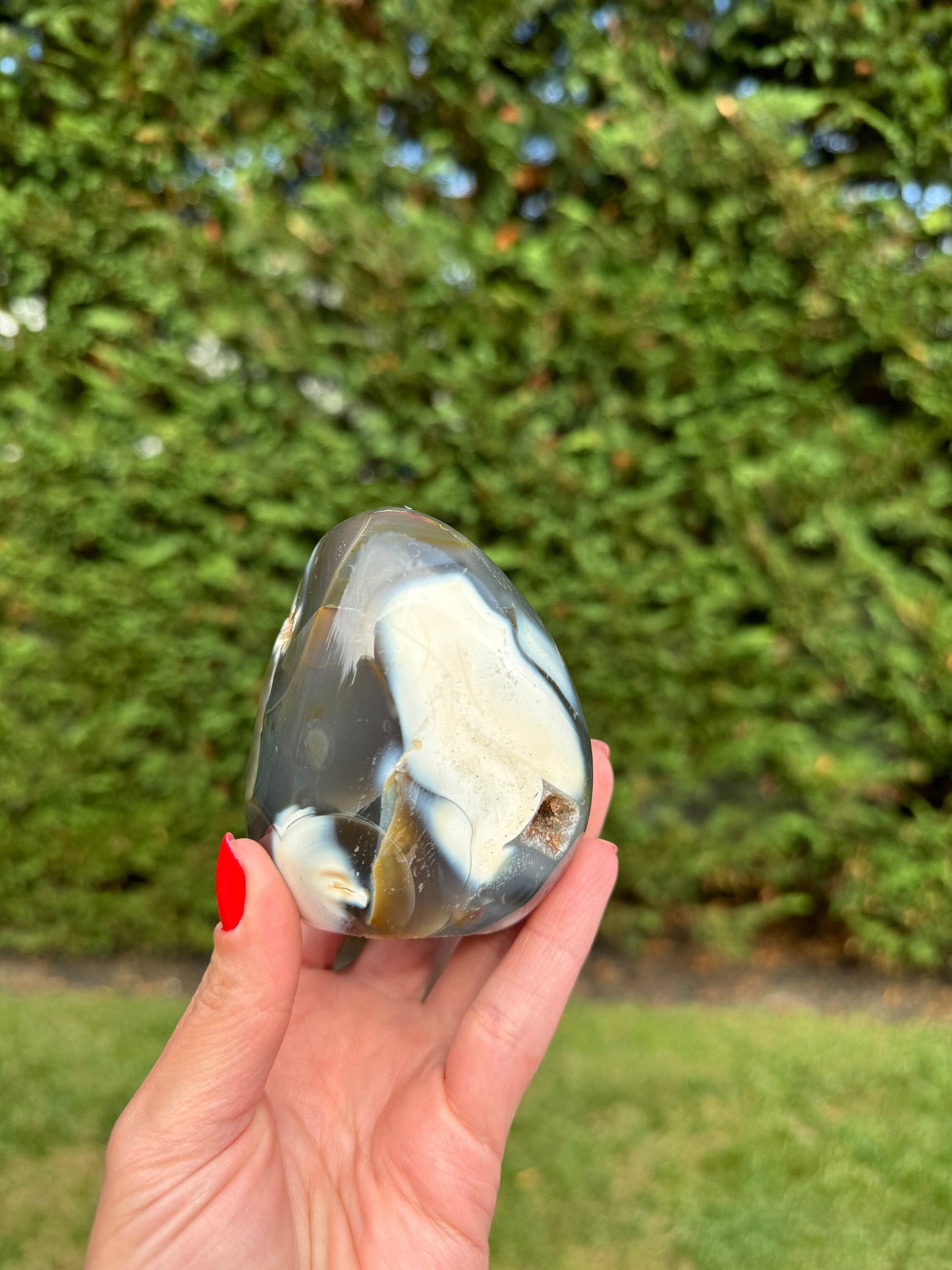 Druzy Orca Agate Freeform
