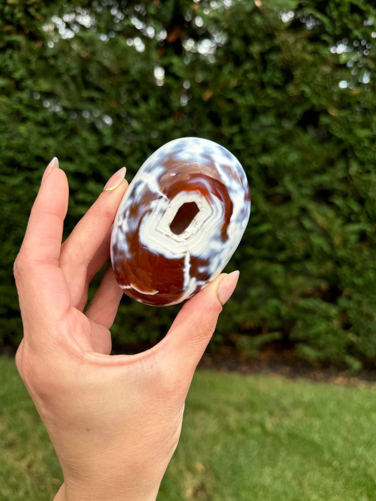 Druzy Orca Agate & Carnelian Freeform
