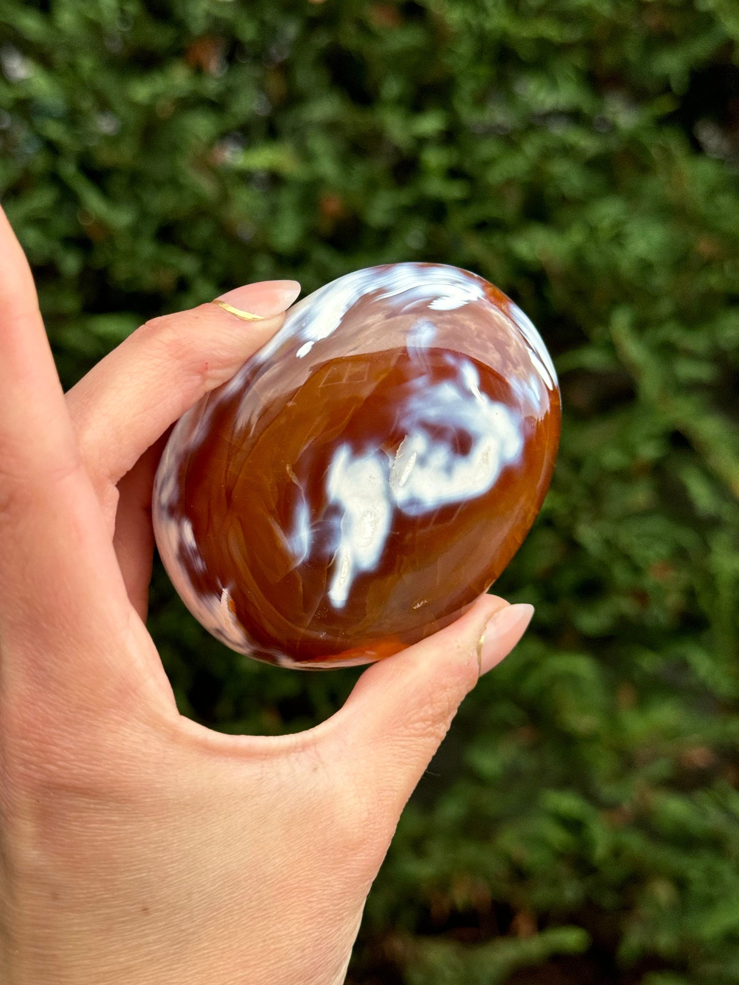 Druzy Orca Agate & Carnelian Freeform