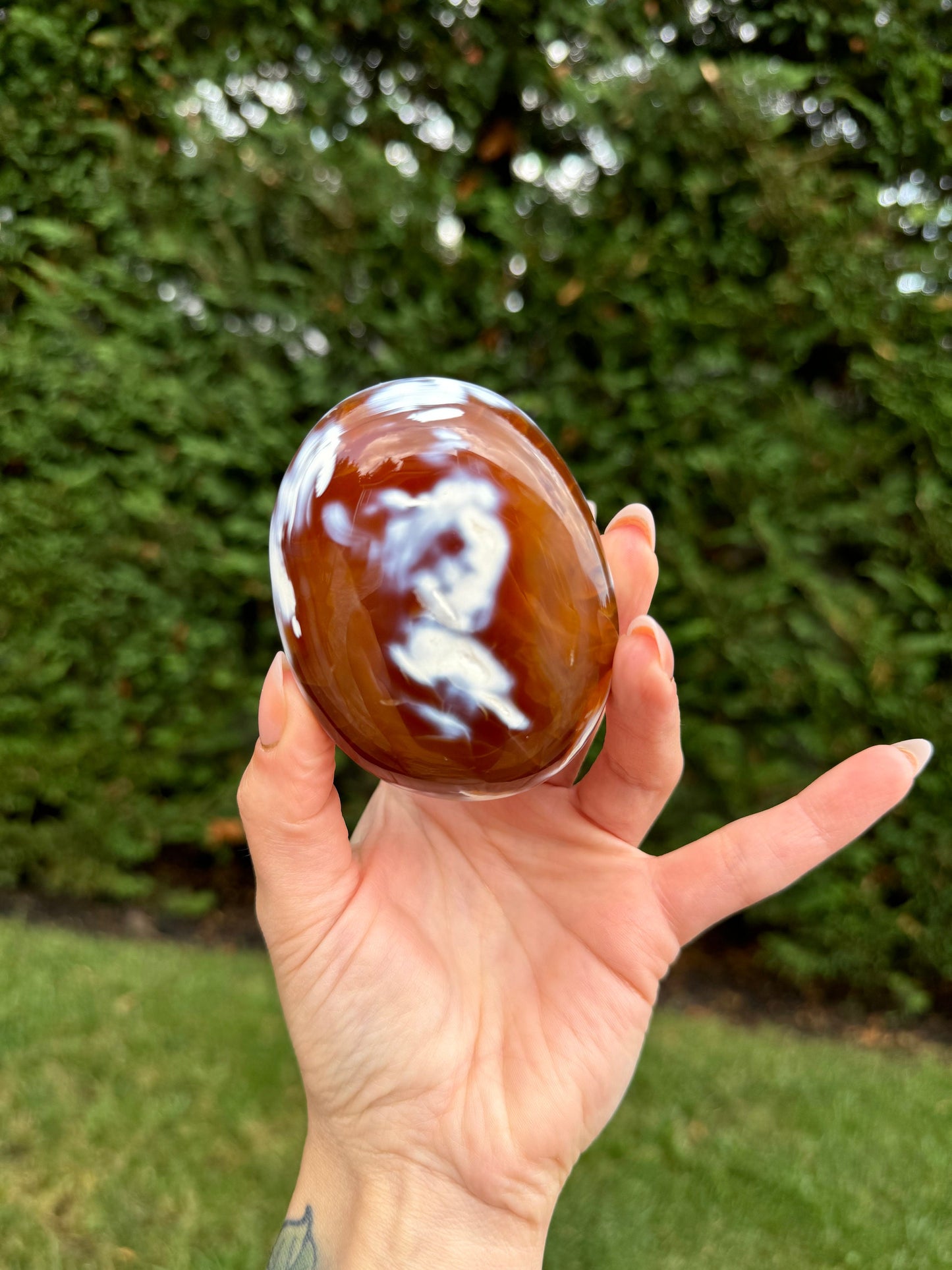 Druzy Orca Agate & Carnelian Freeform