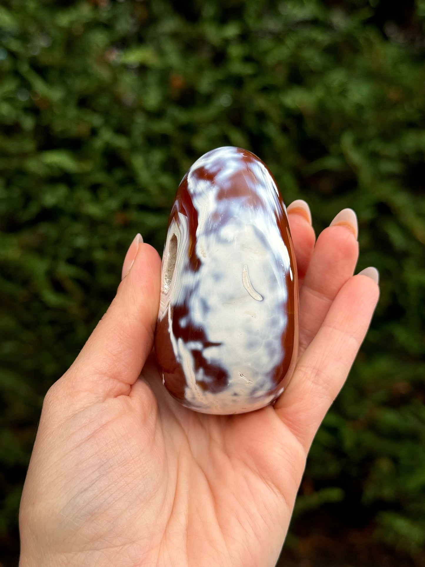 Druzy Orca Agate & Carnelian Freeform