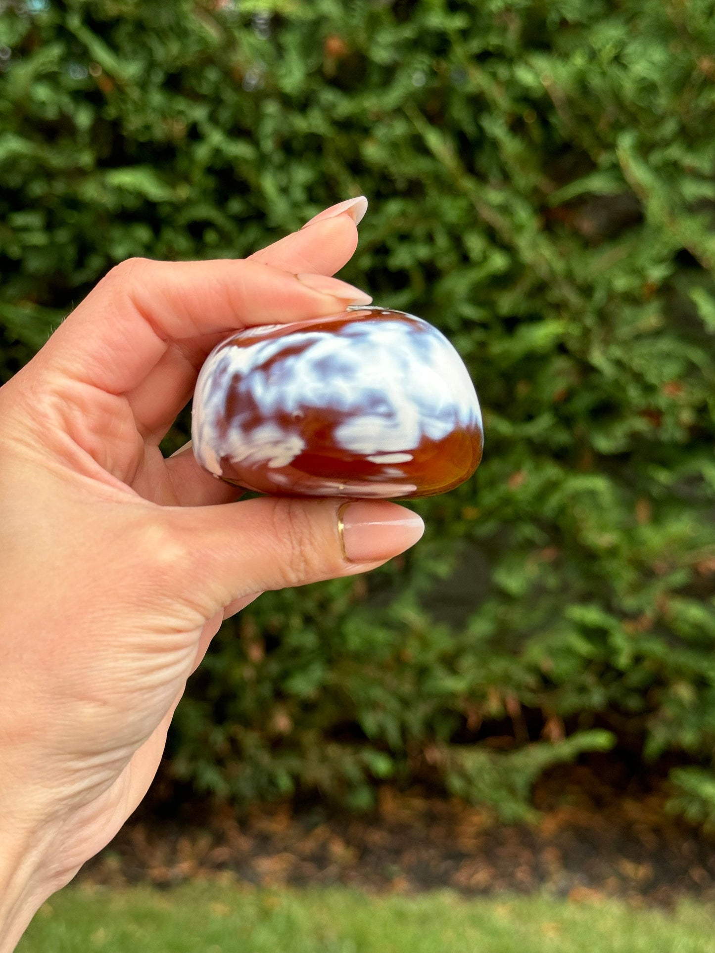 Druzy Orca Agate & Carnelian Freeform