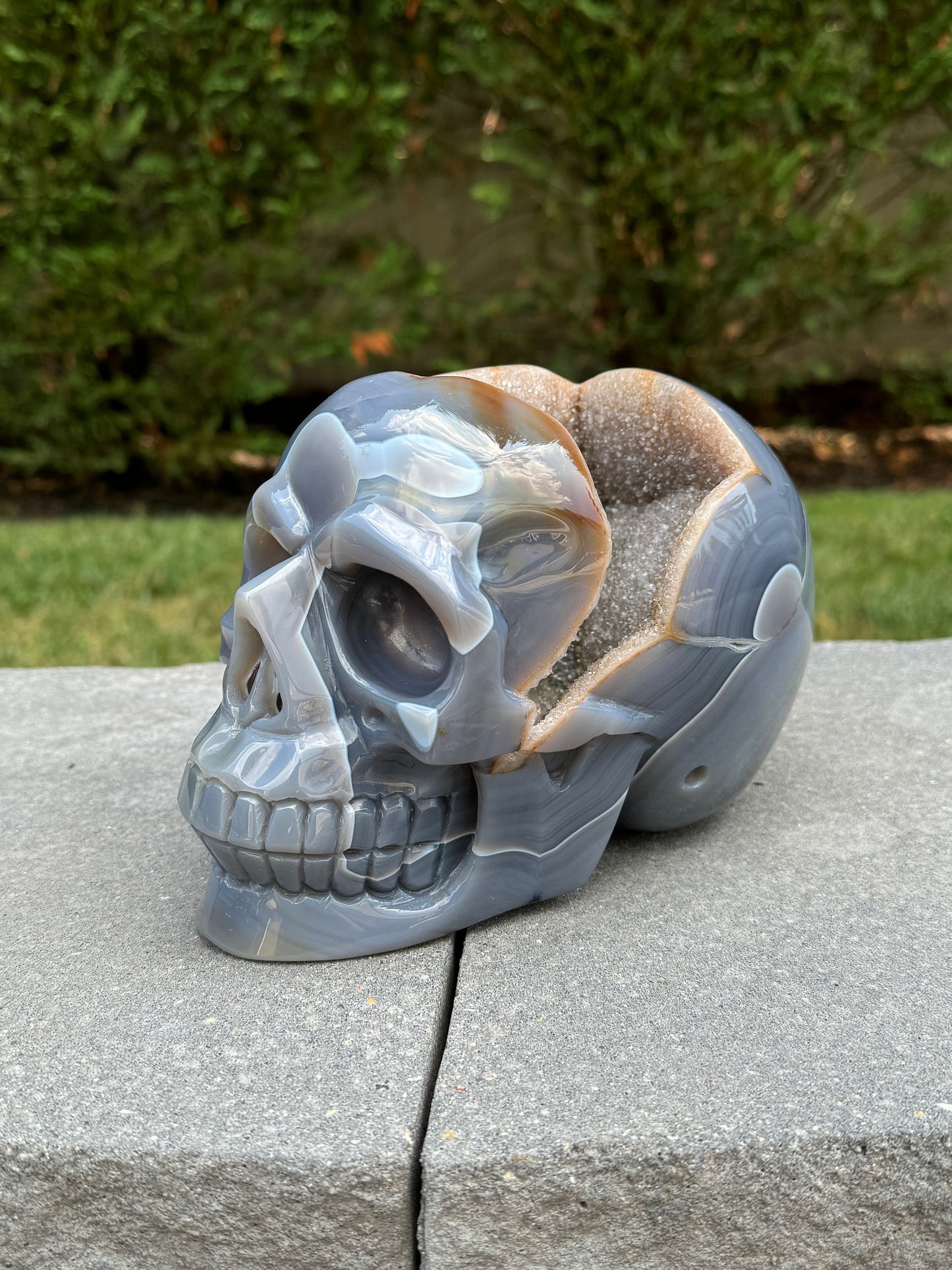 XL Druzy Banded Agate & Amethyst Hi-Def Geode Skull Carving (8")