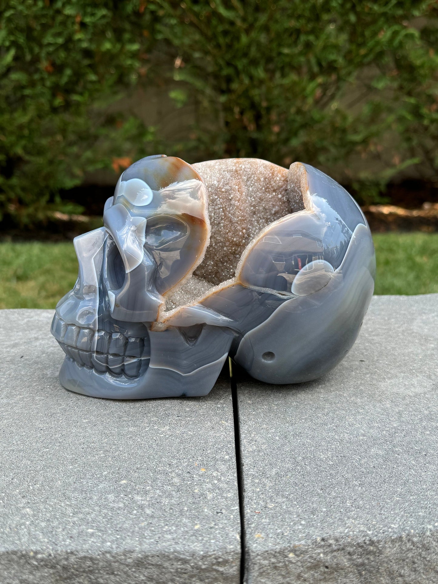 XL Druzy Banded Agate & Amethyst Hi-Def Geode Skull Carving (8")