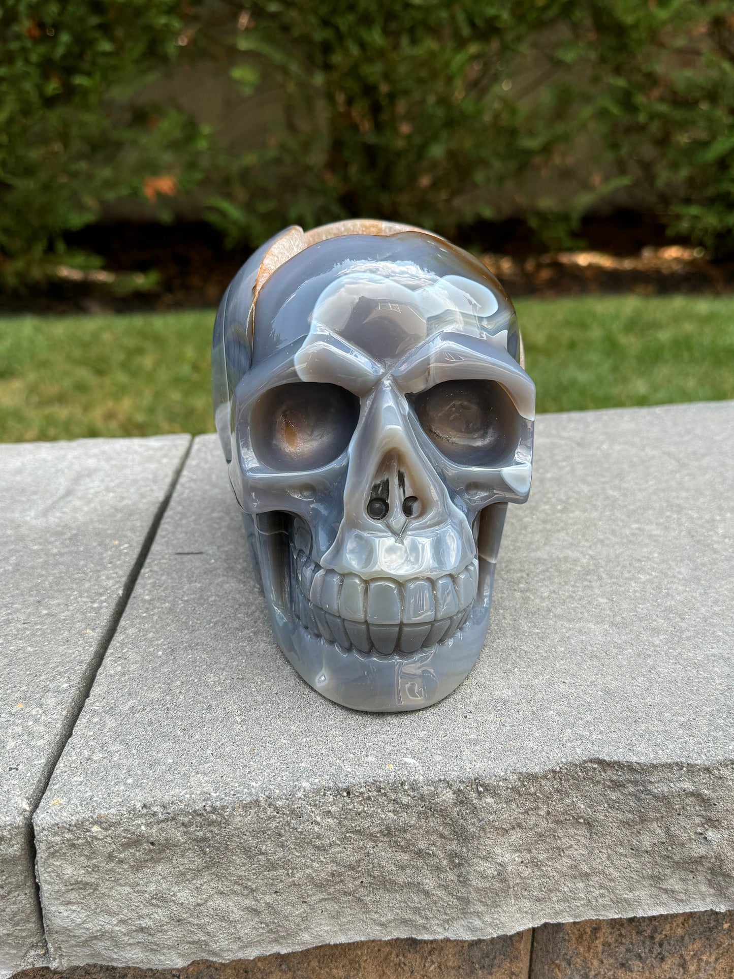 XL Druzy Banded Agate & Amethyst Hi-Def Geode Skull Carving (8")