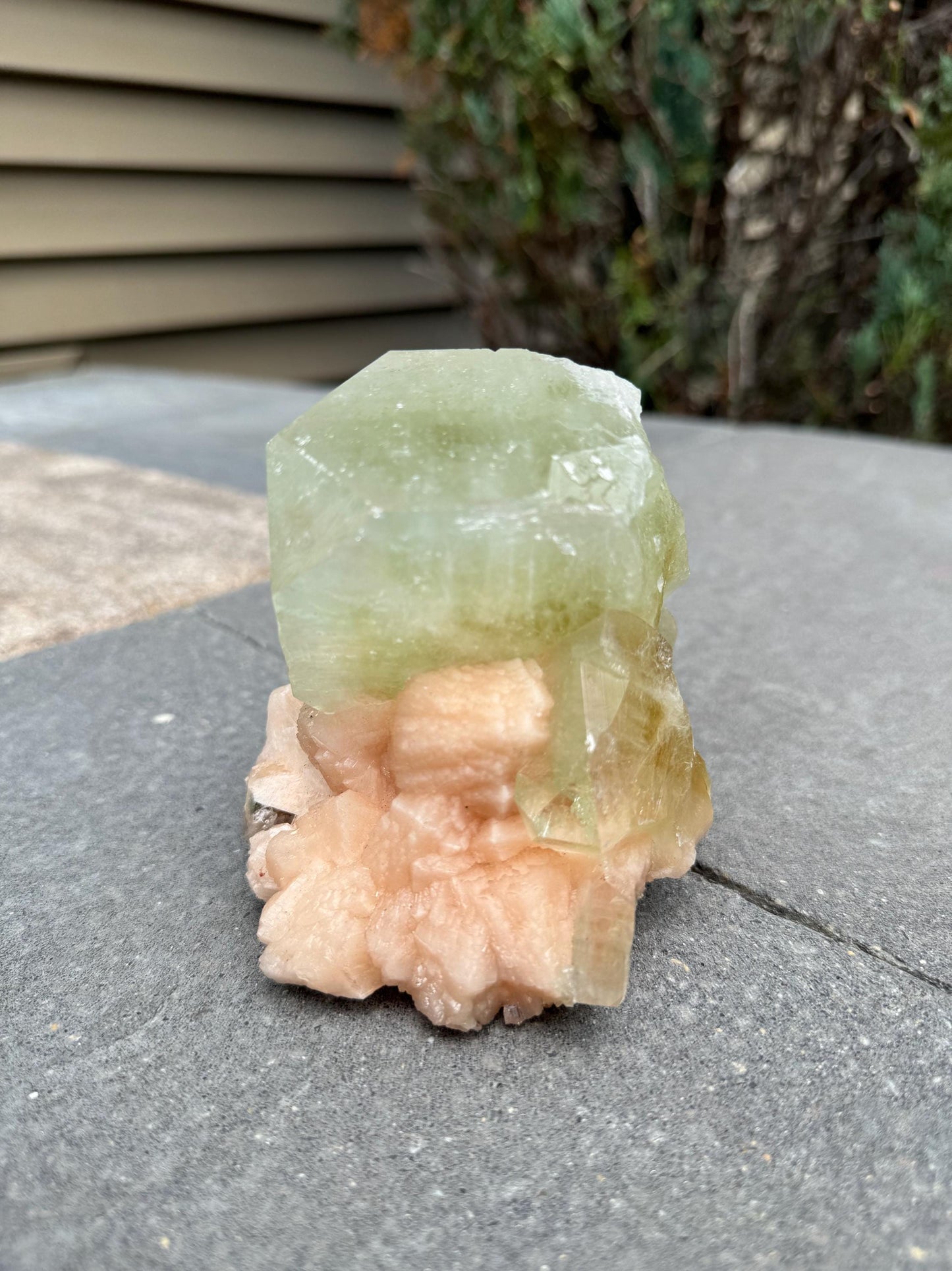 High Quality XL Green Cubic Apophyllite Pink Stilbite Specimen (Maharashtra, India)